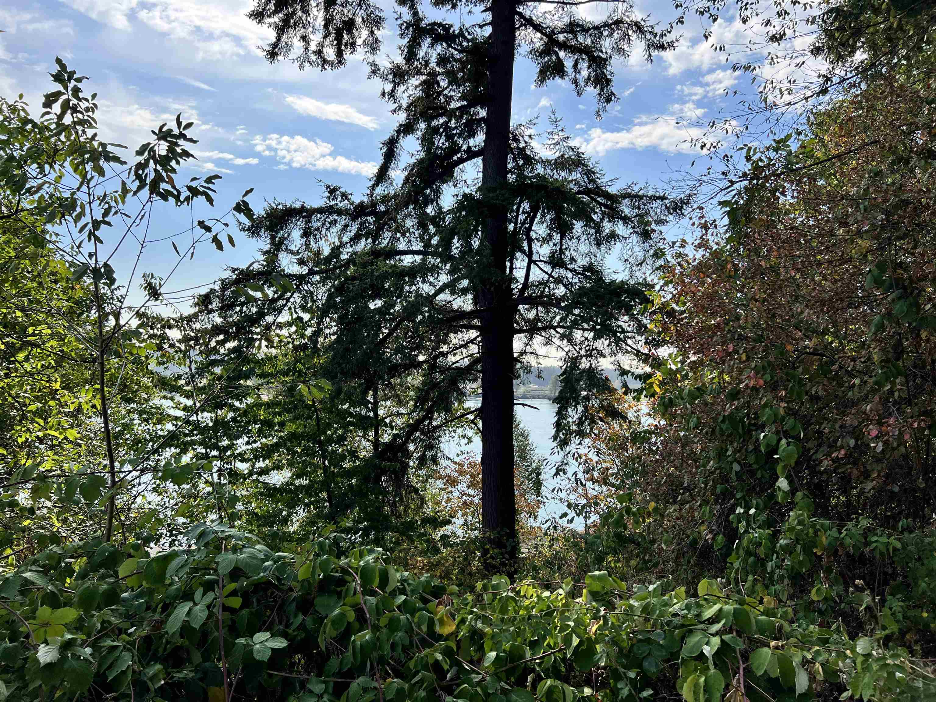 Listing R2764205 - Large Photo # 23