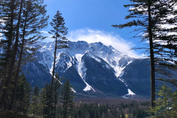 8208 MERLOT PEAK DRIVE, Pemberton