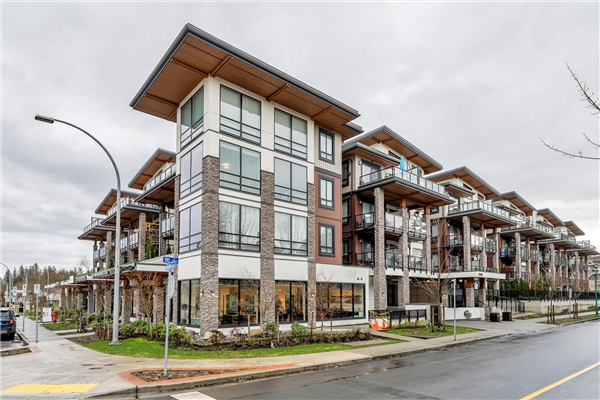 216 12460 191 STREET, Pitt Meadows