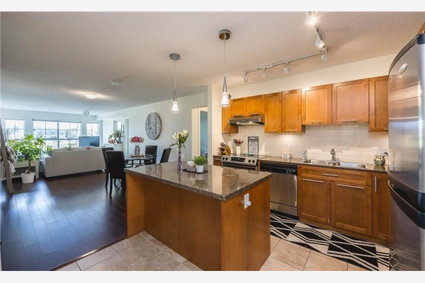 302 19677 MEADOW GARDENS WAY, Pitt Meadows
