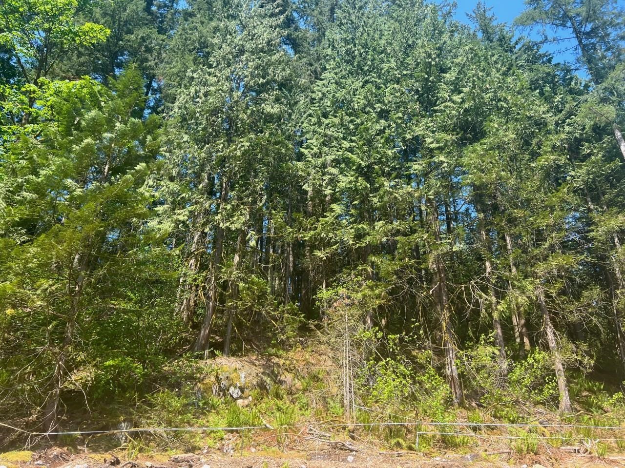 Listing R2777249 - Large Photo # 3