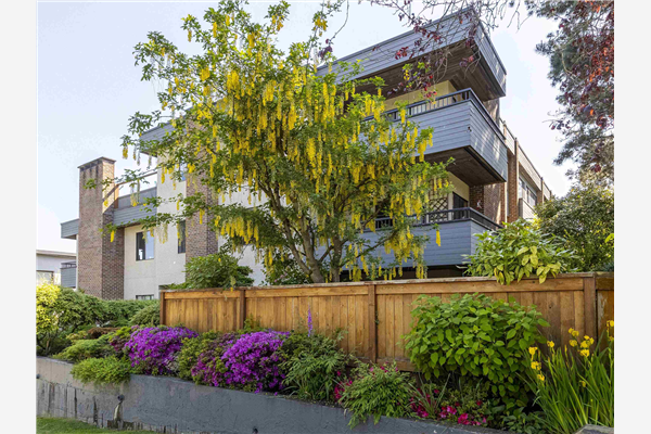 305 2475 YORK AVENUE, Vancouver