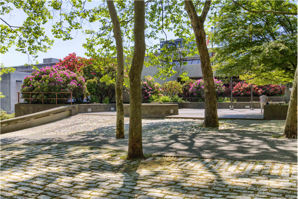 103 624 AGNES STREET, New Westminster