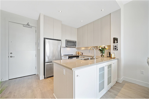 417 2393 RANGER LANE, Port Coquitlam