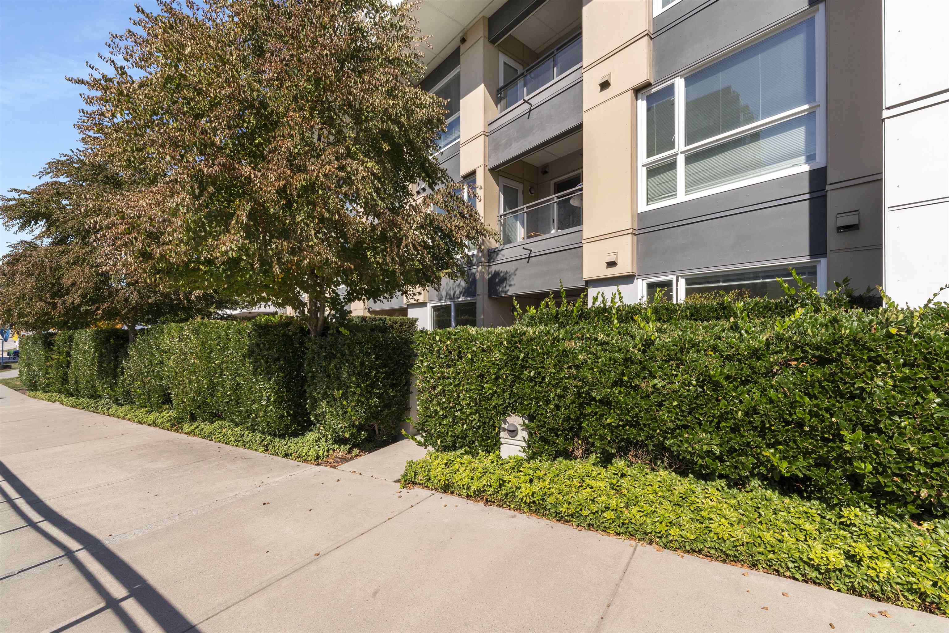 120 5311 CEDARBRIDGE WAY, #120