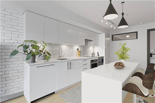 209 2508 FRASER STREET, Vancouver