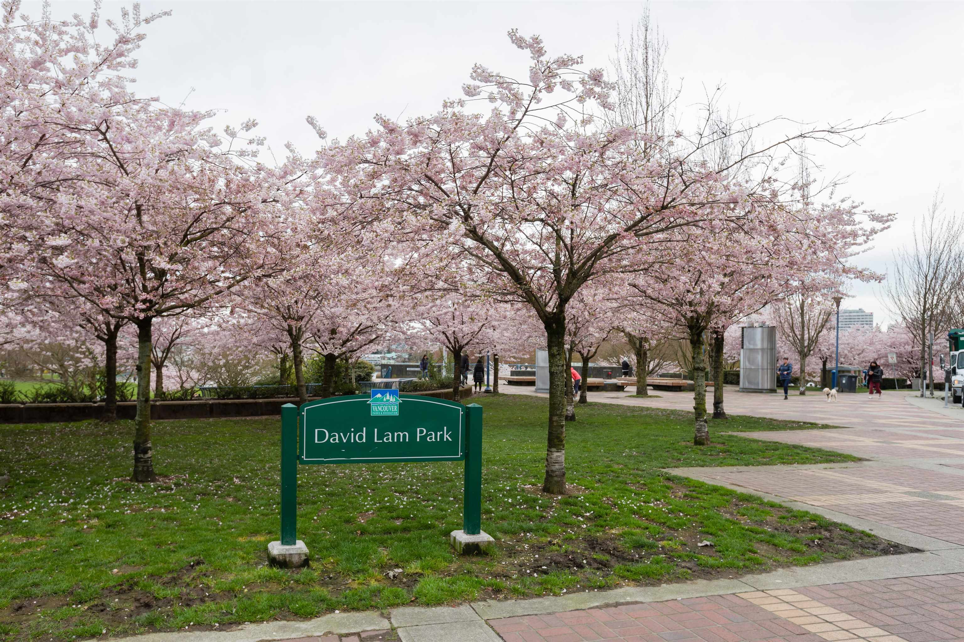 301 1241 HOMER STREET, #301