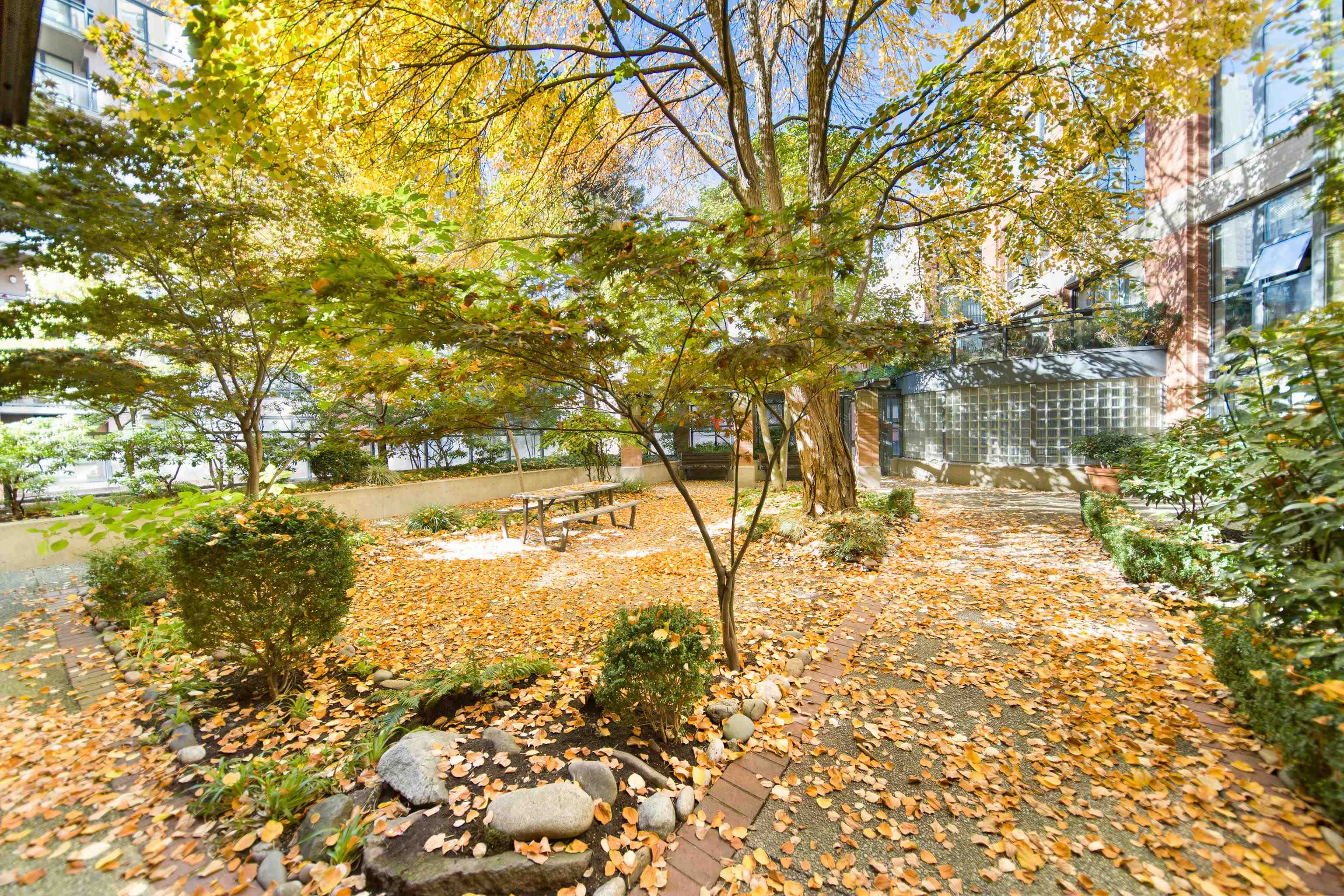405 212 DAVIE STREET, #405