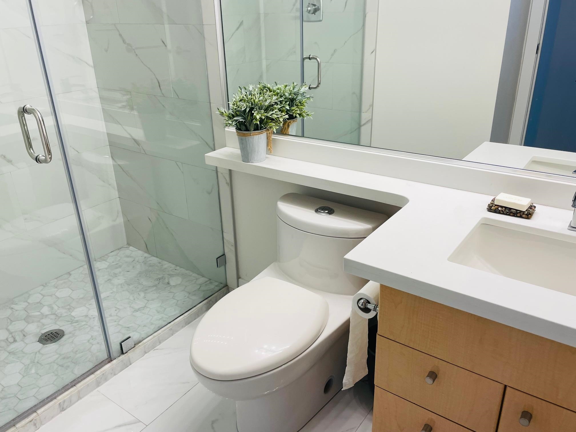 805 1018 CAMBIE STREET, #805