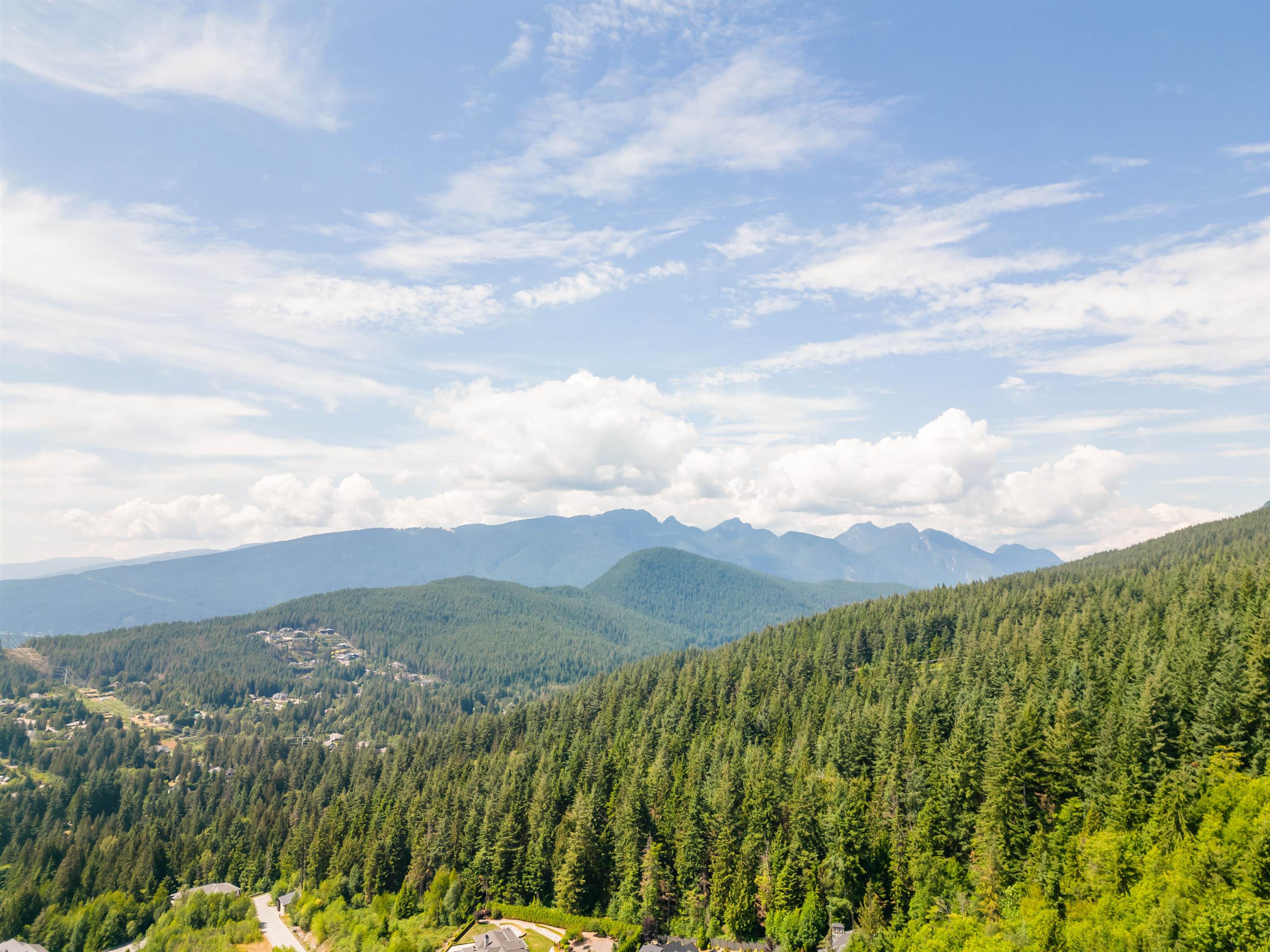 1990 RIDGE MOUNTAIN DRIVE