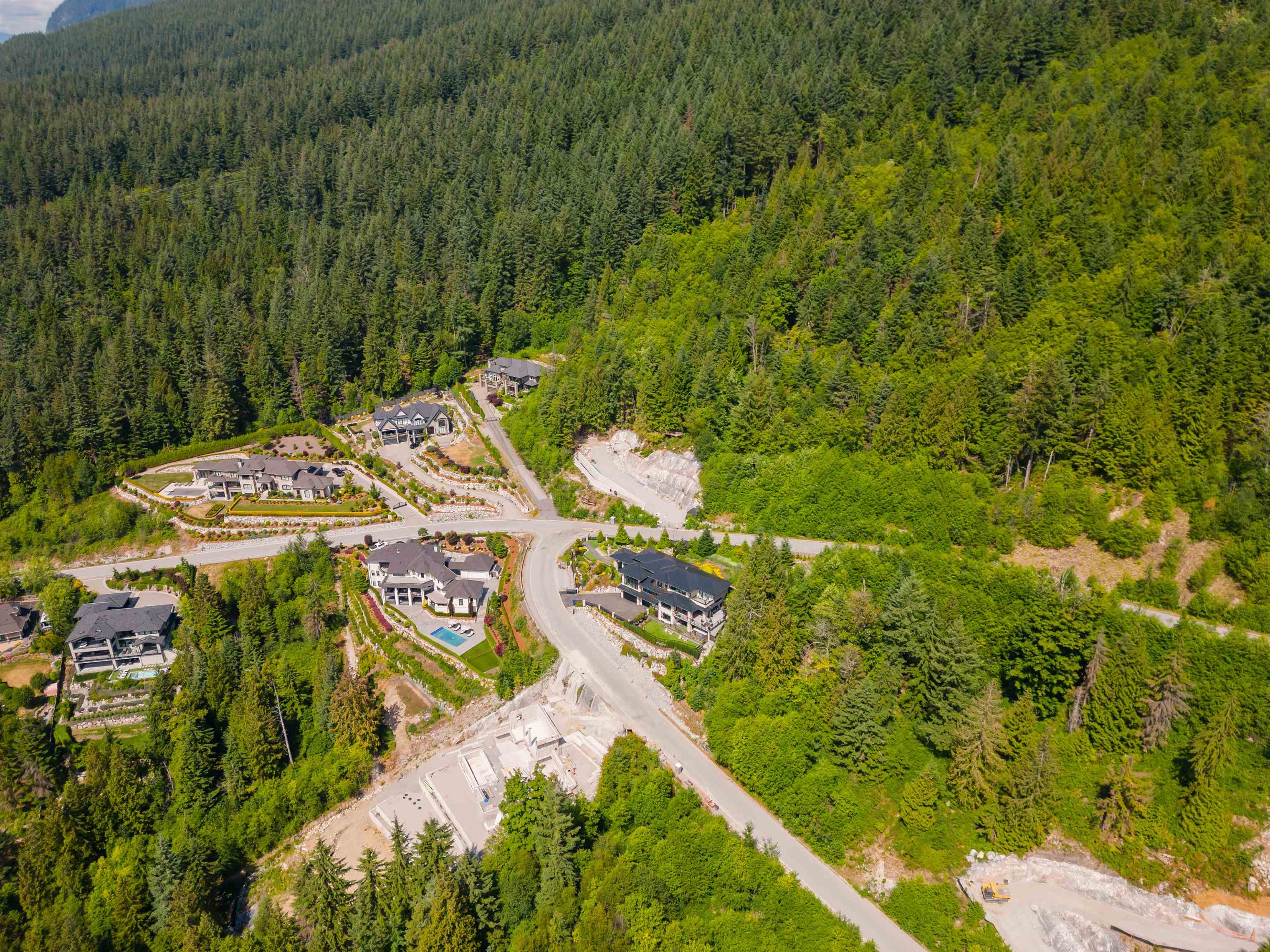 1990 RIDGE MOUNTAIN DRIVE