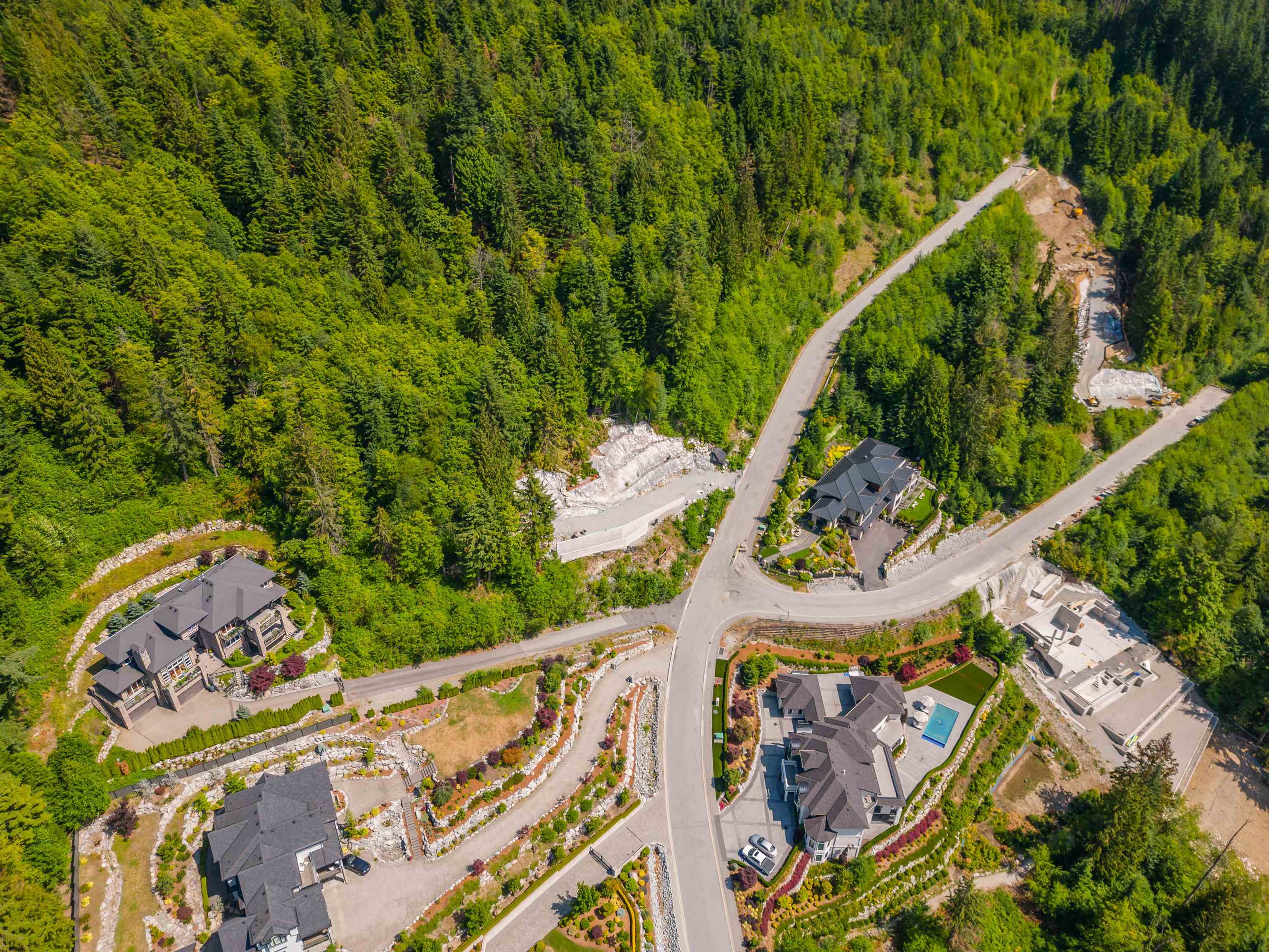 1990 RIDGE MOUNTAIN DRIVE