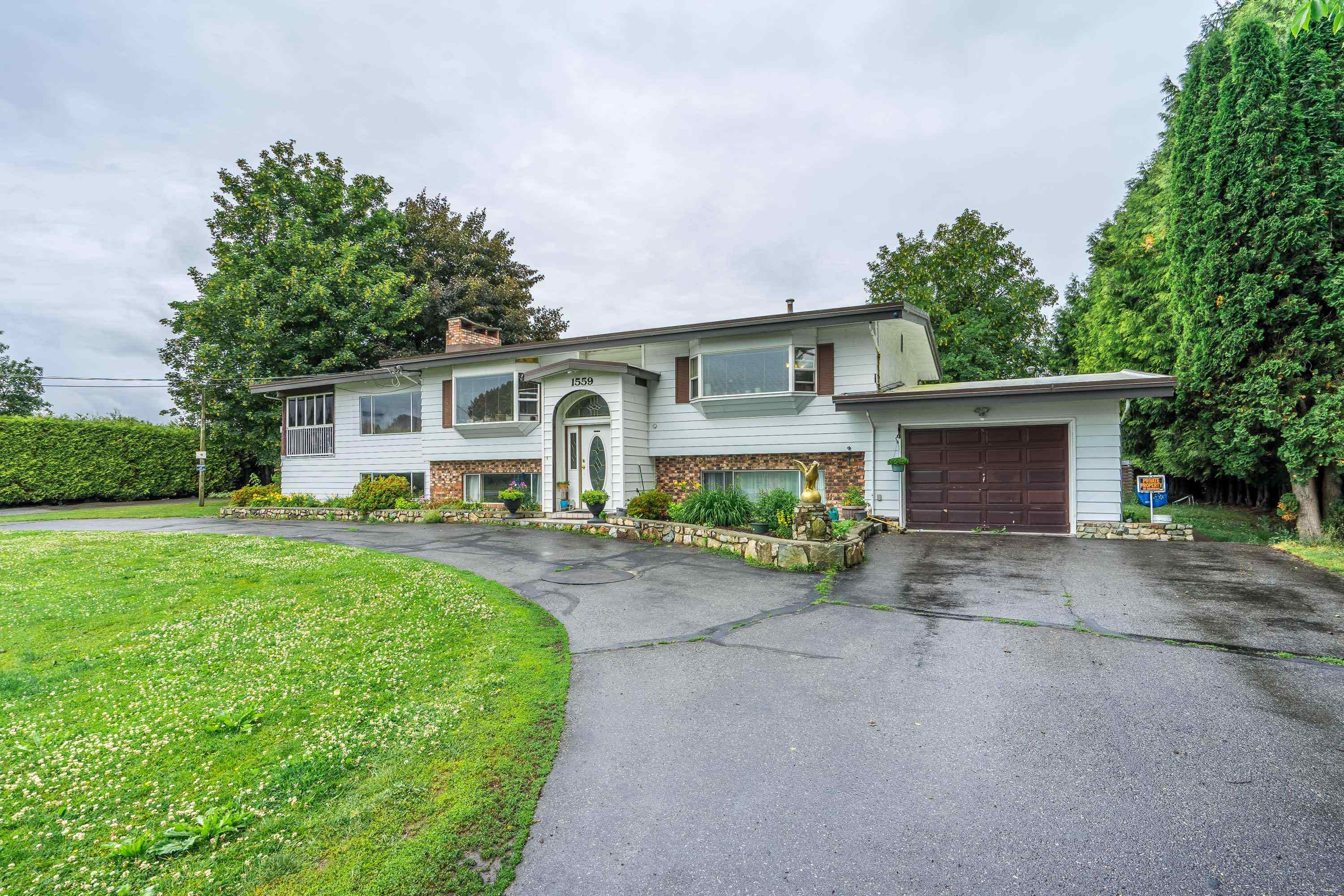 1559 WHATCOM ROAD