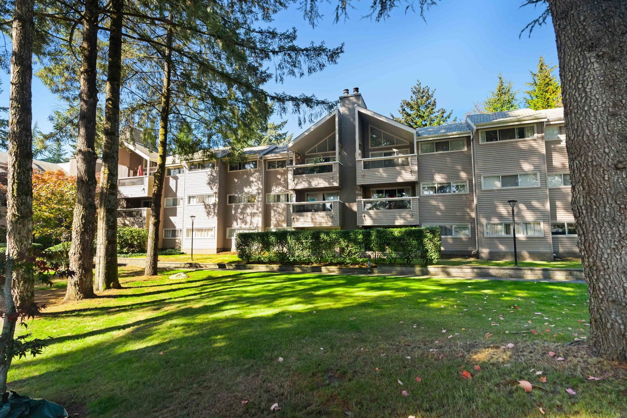 213 932 ROBINSON STREET, #213