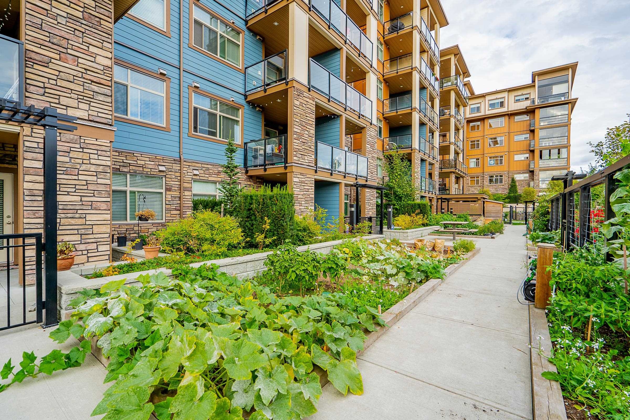 309 20673 78 AVENUE, #309