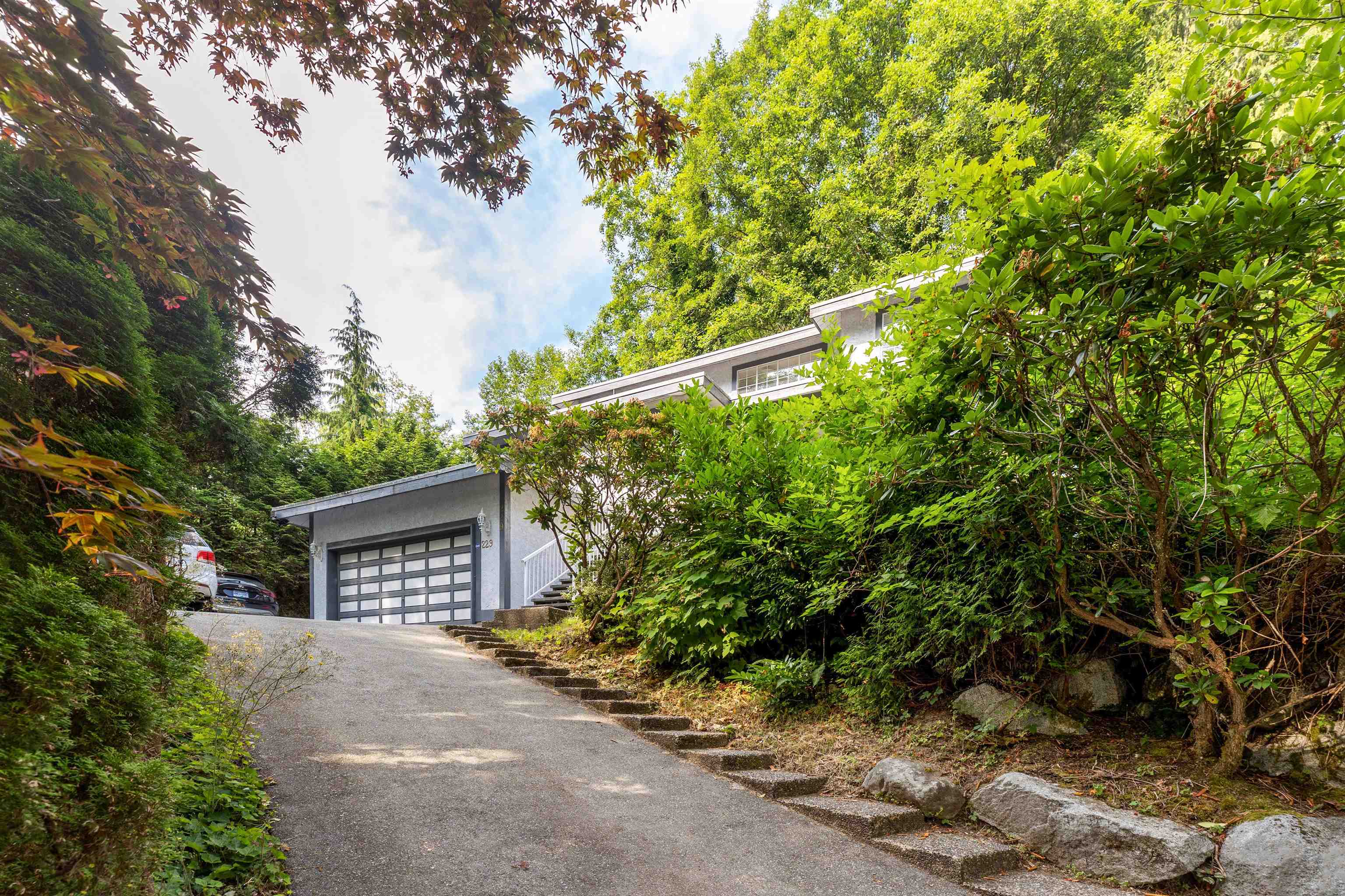 229 RABBIT LANE