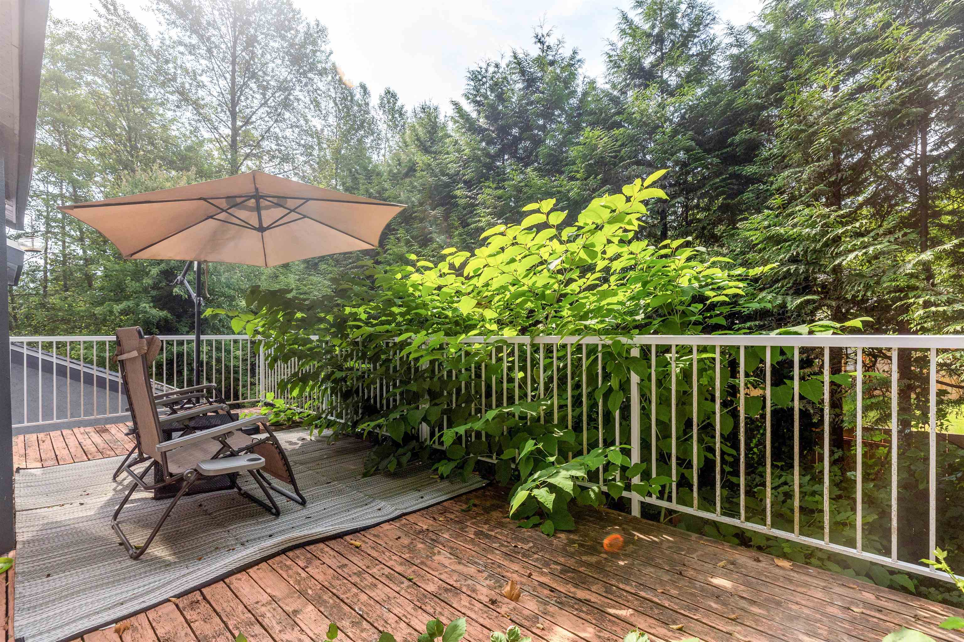 229 RABBIT LANE