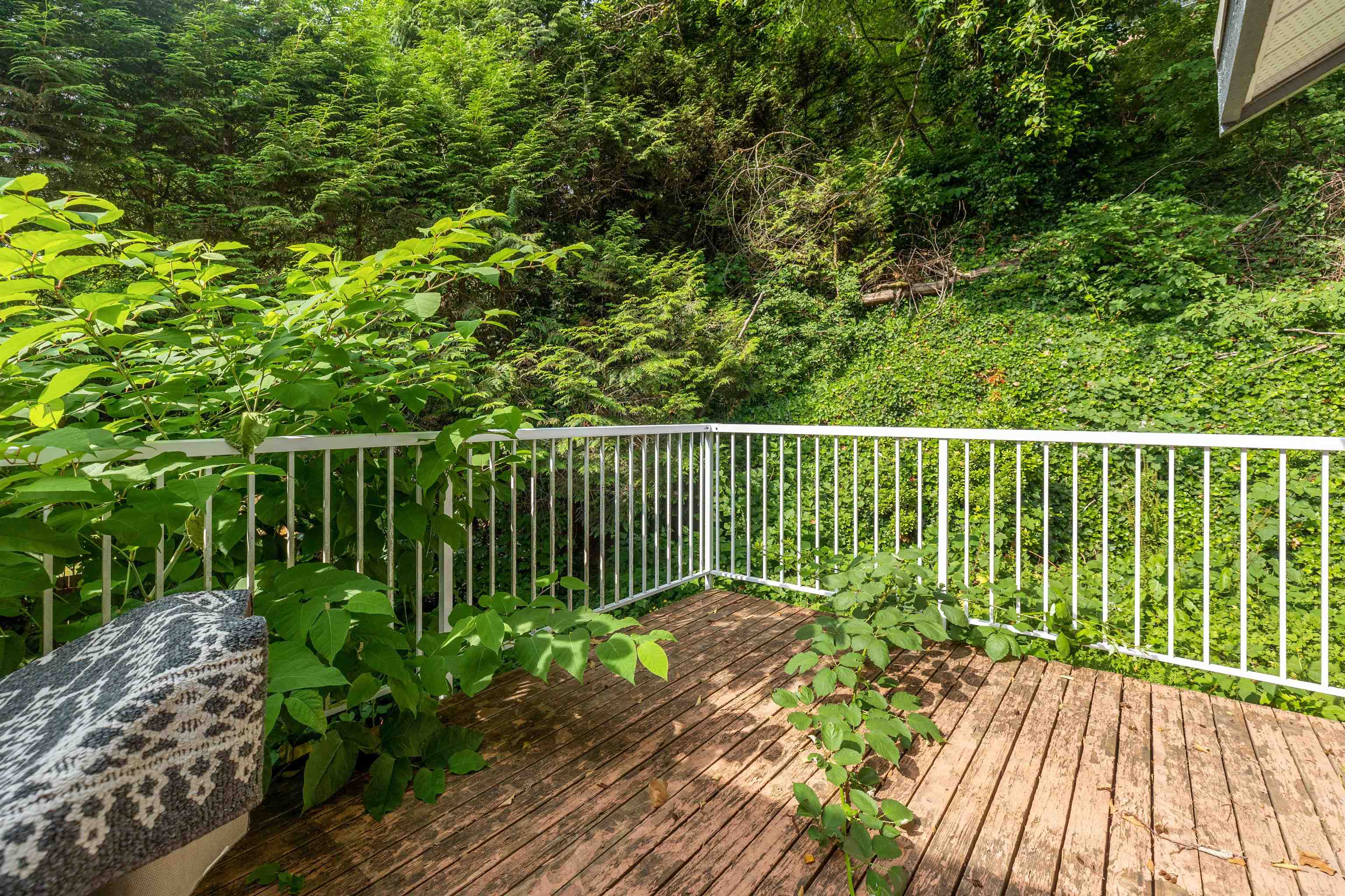 229 RABBIT LANE
