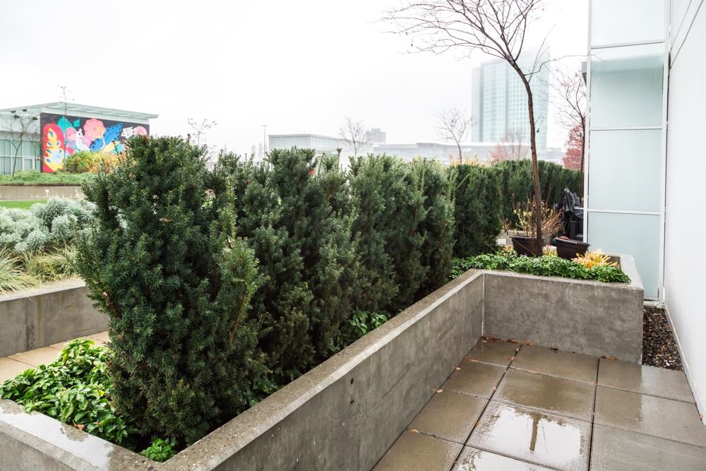 205 10225 WHALLEY BOULEVARD, #205