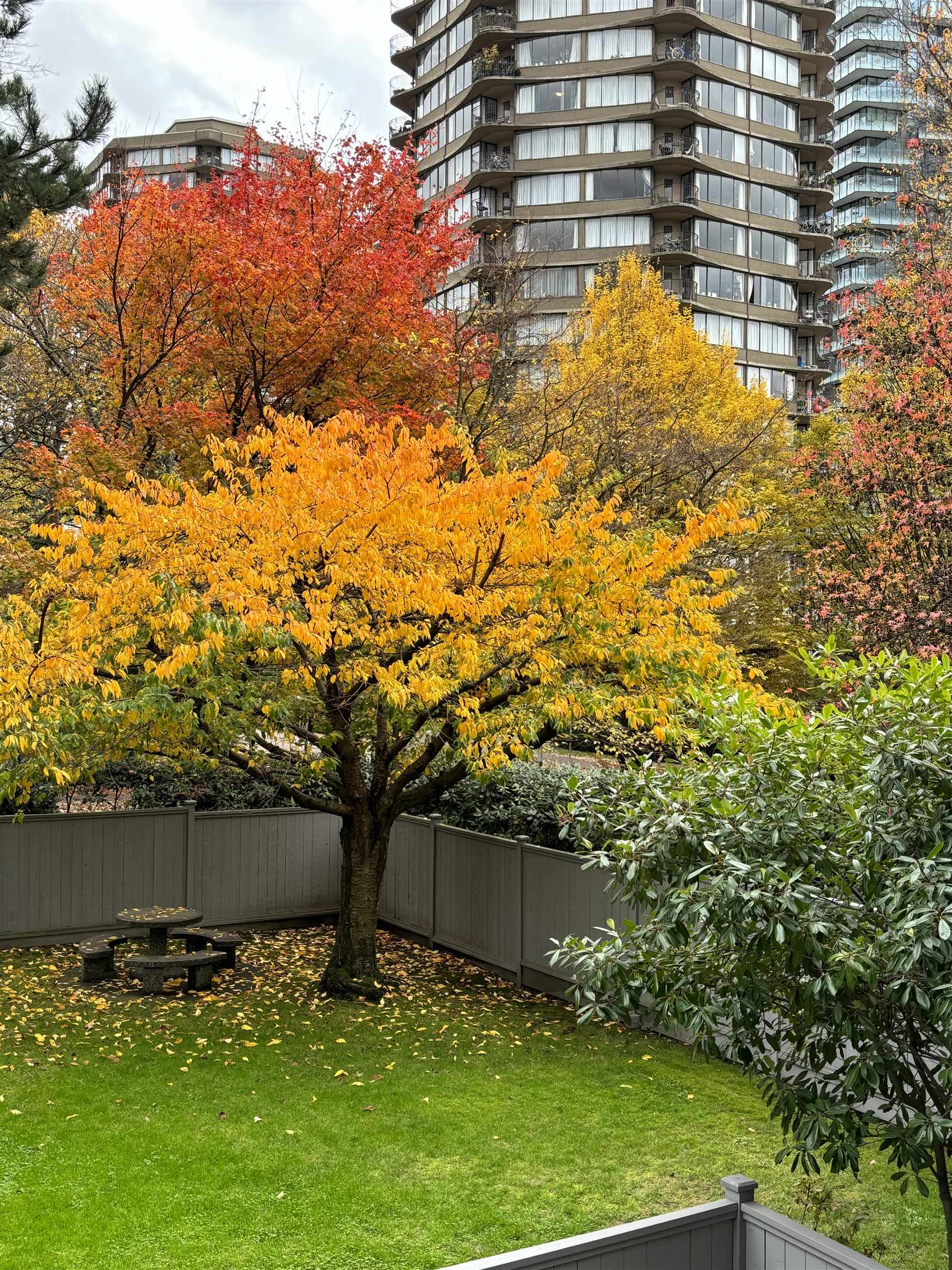 201 1725 PENDRELL STREET, #201