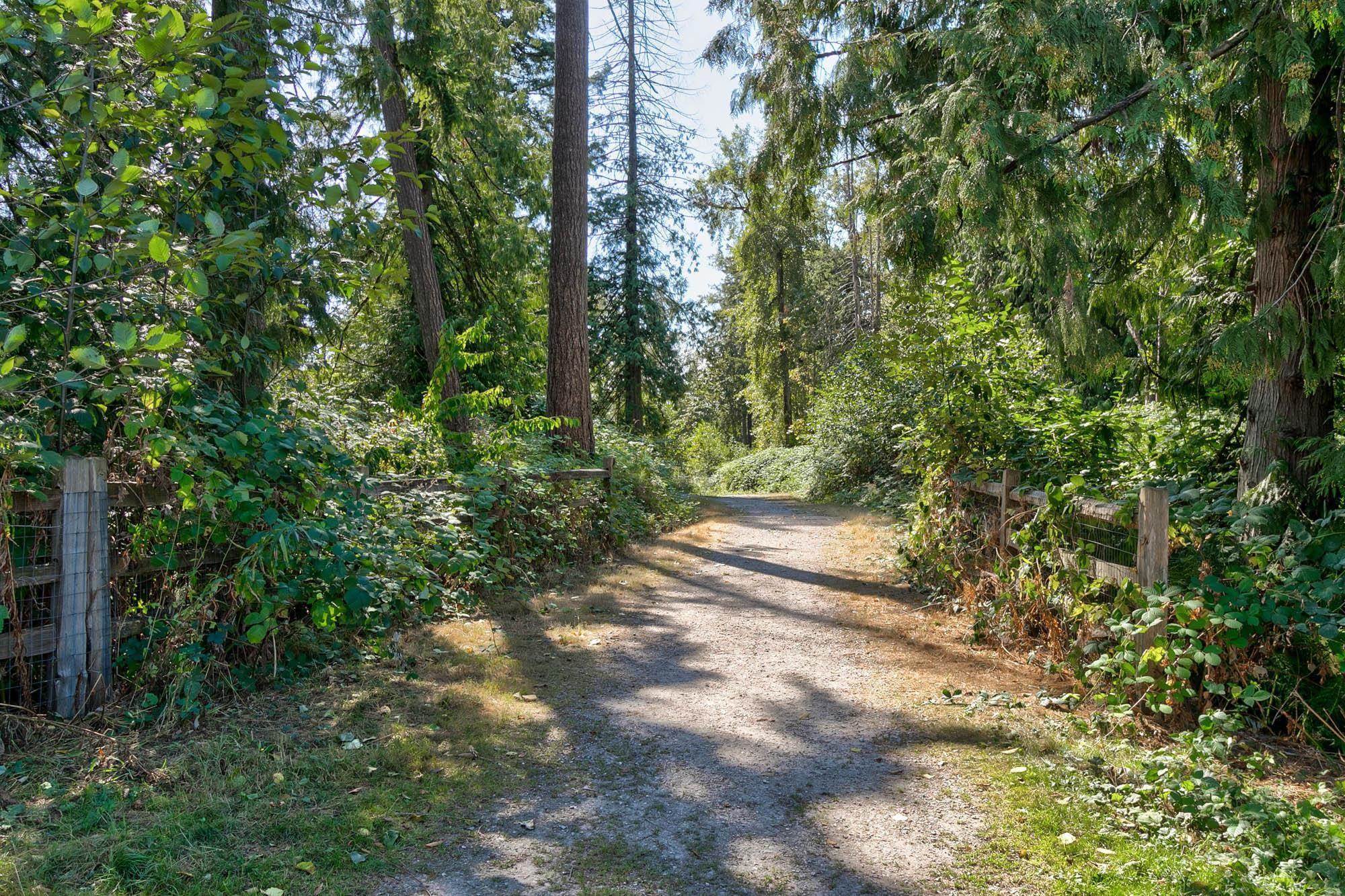 313 16388 64 AVENUE, #313