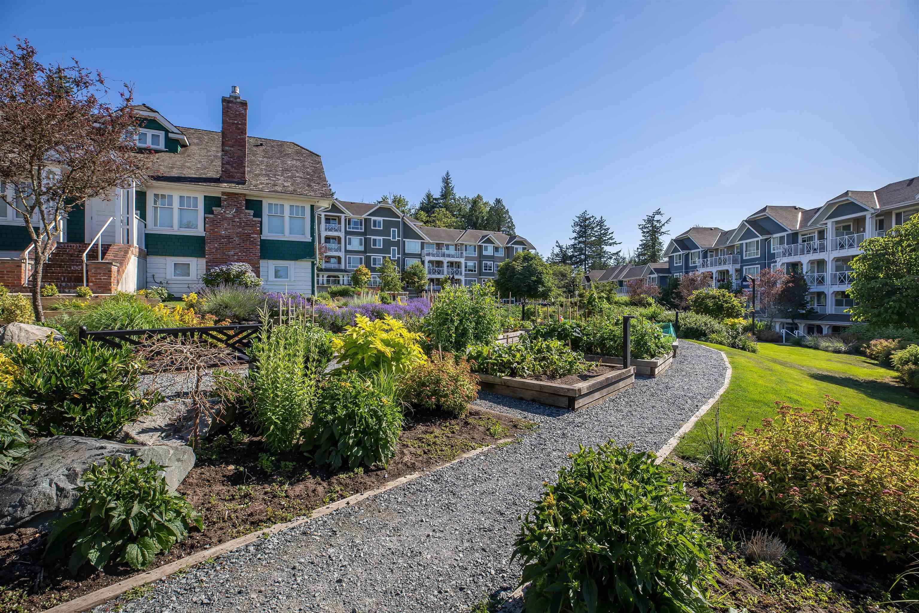313 16388 64 AVENUE, #313