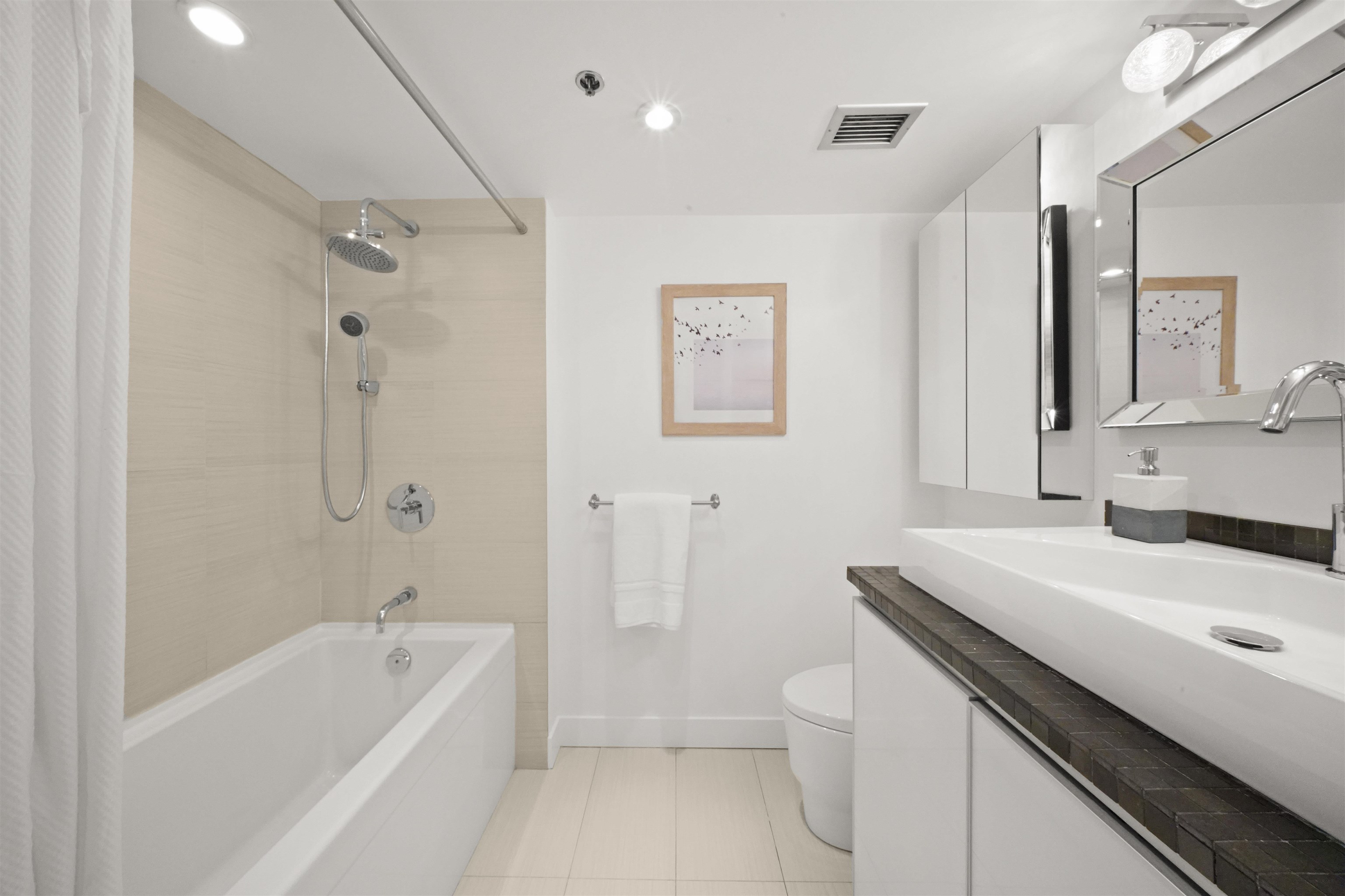 705 212 DAVIE STREET, #705