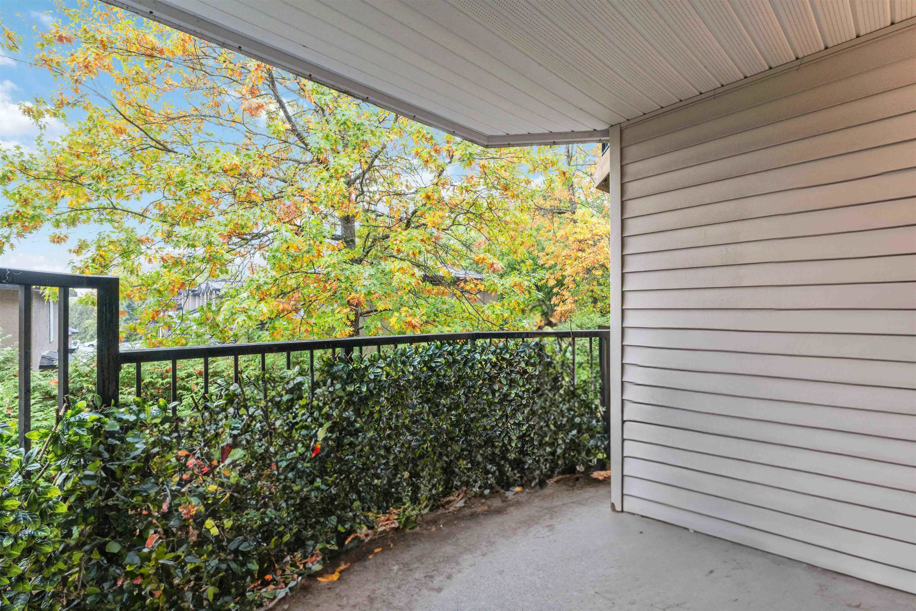 204 11595 FRASER STREET, #204