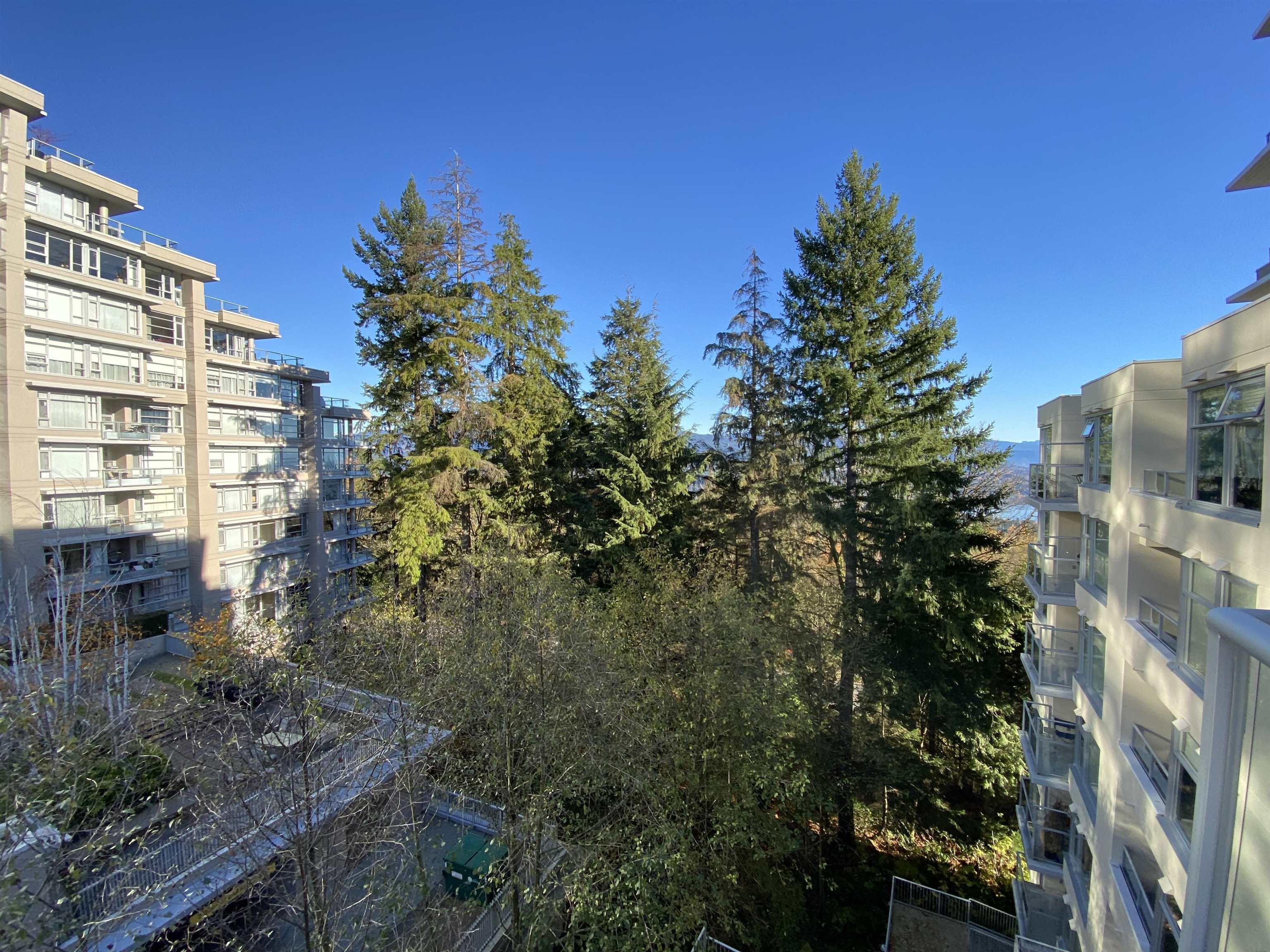 501 9288 UNIVERSITY CRESCENT, #501