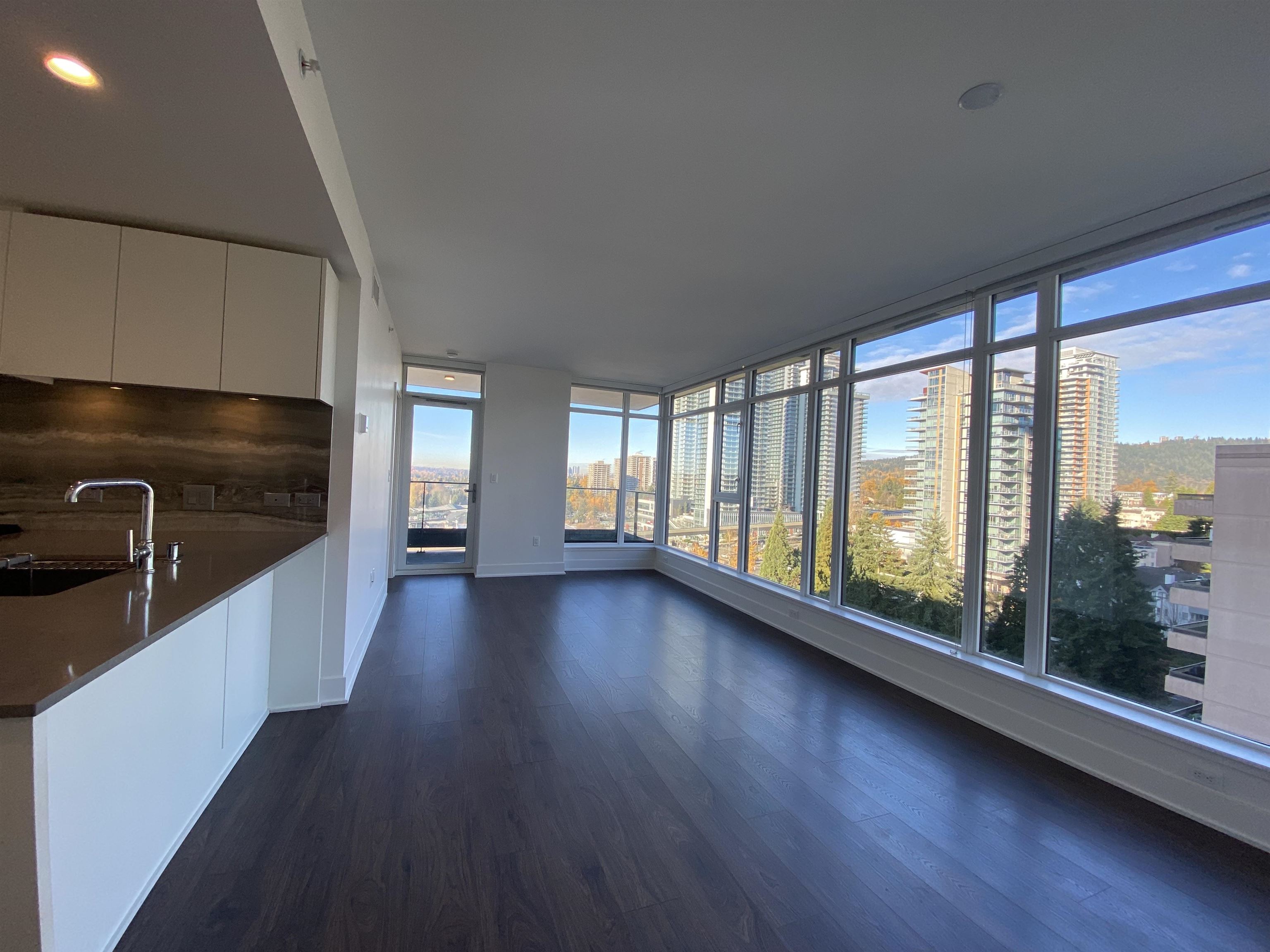 1010 450 WESTVIEW STREET, #1010