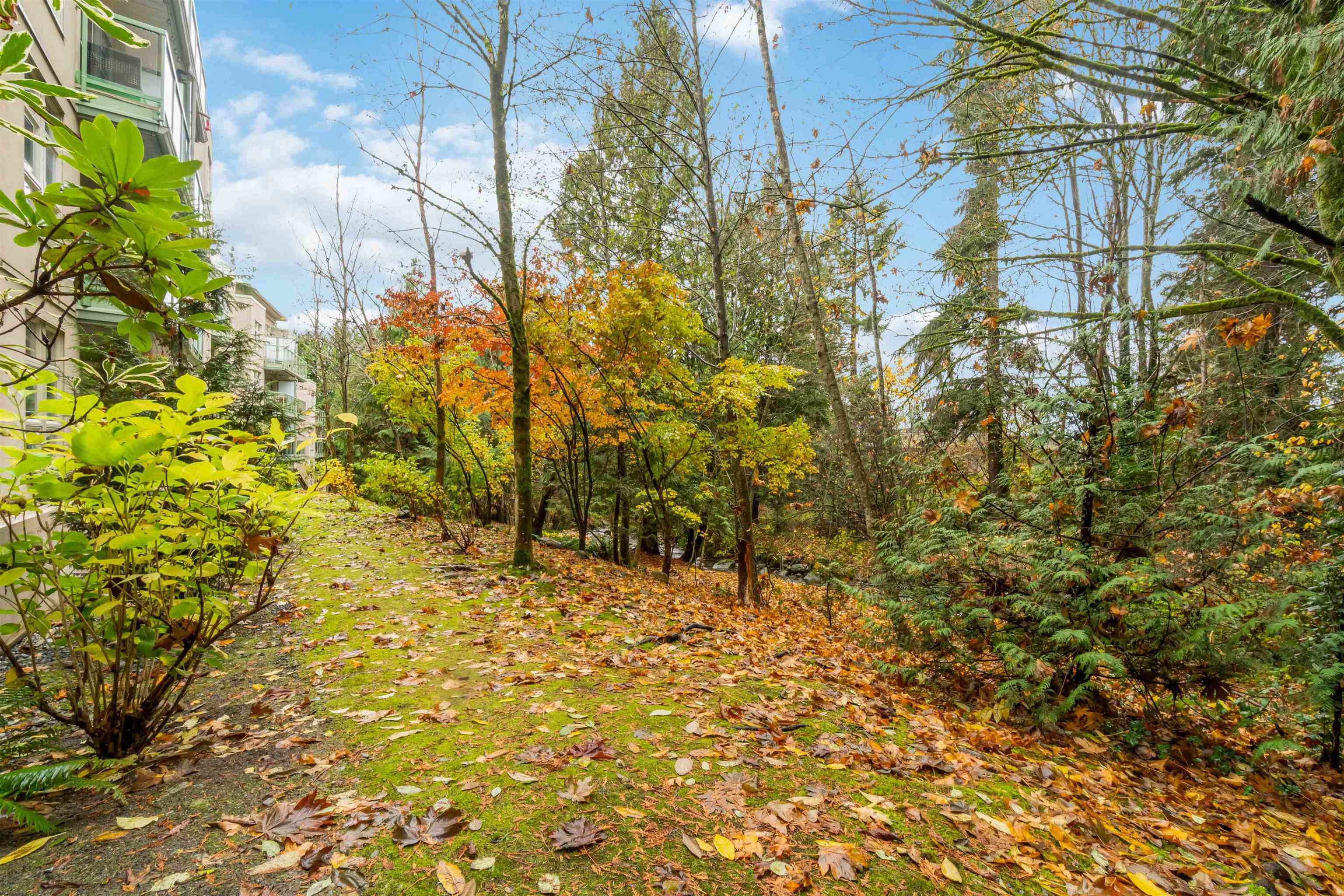 209A 301 MAUDE ROAD, #209A