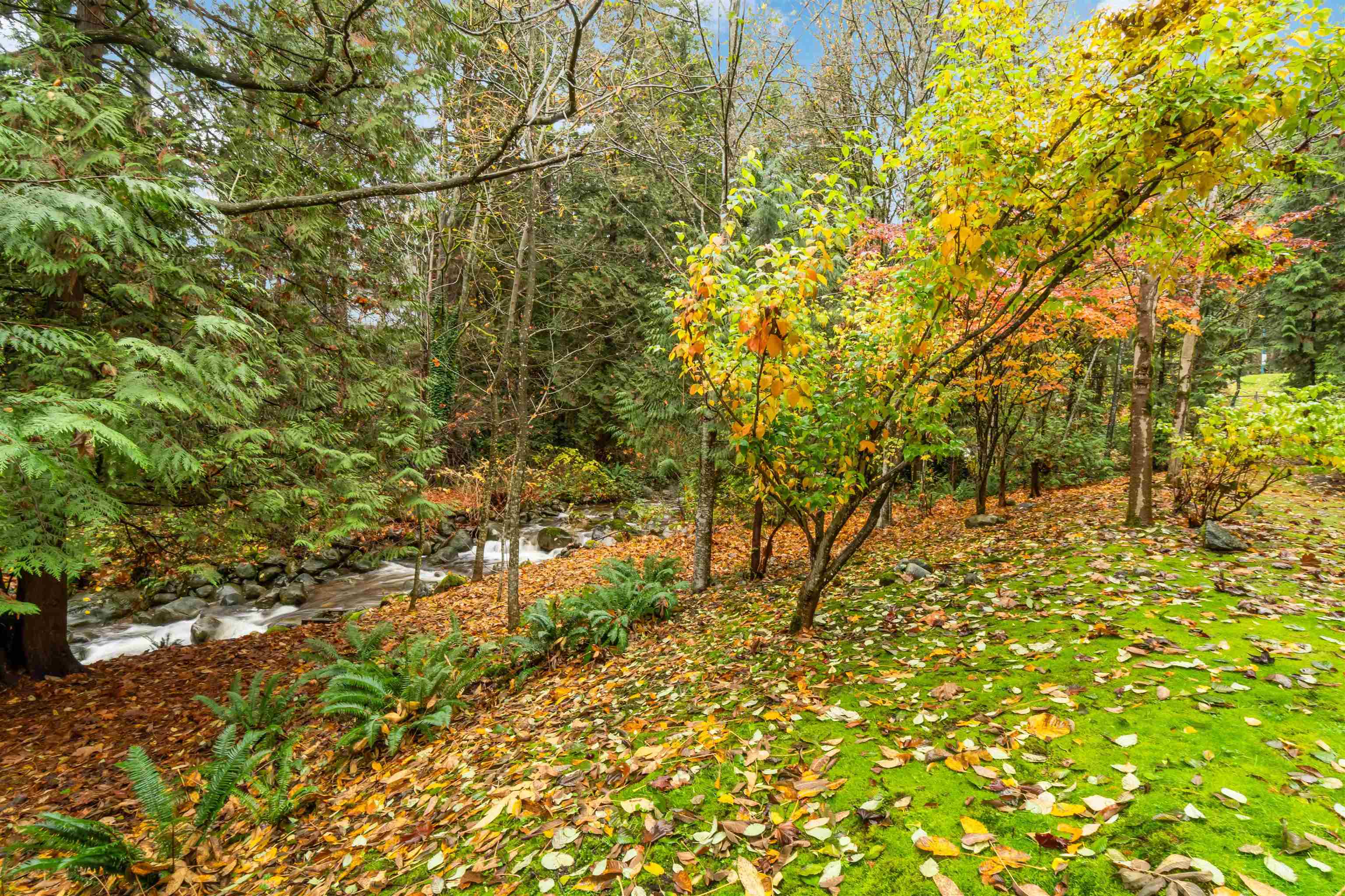 209A 301 MAUDE ROAD, #209A