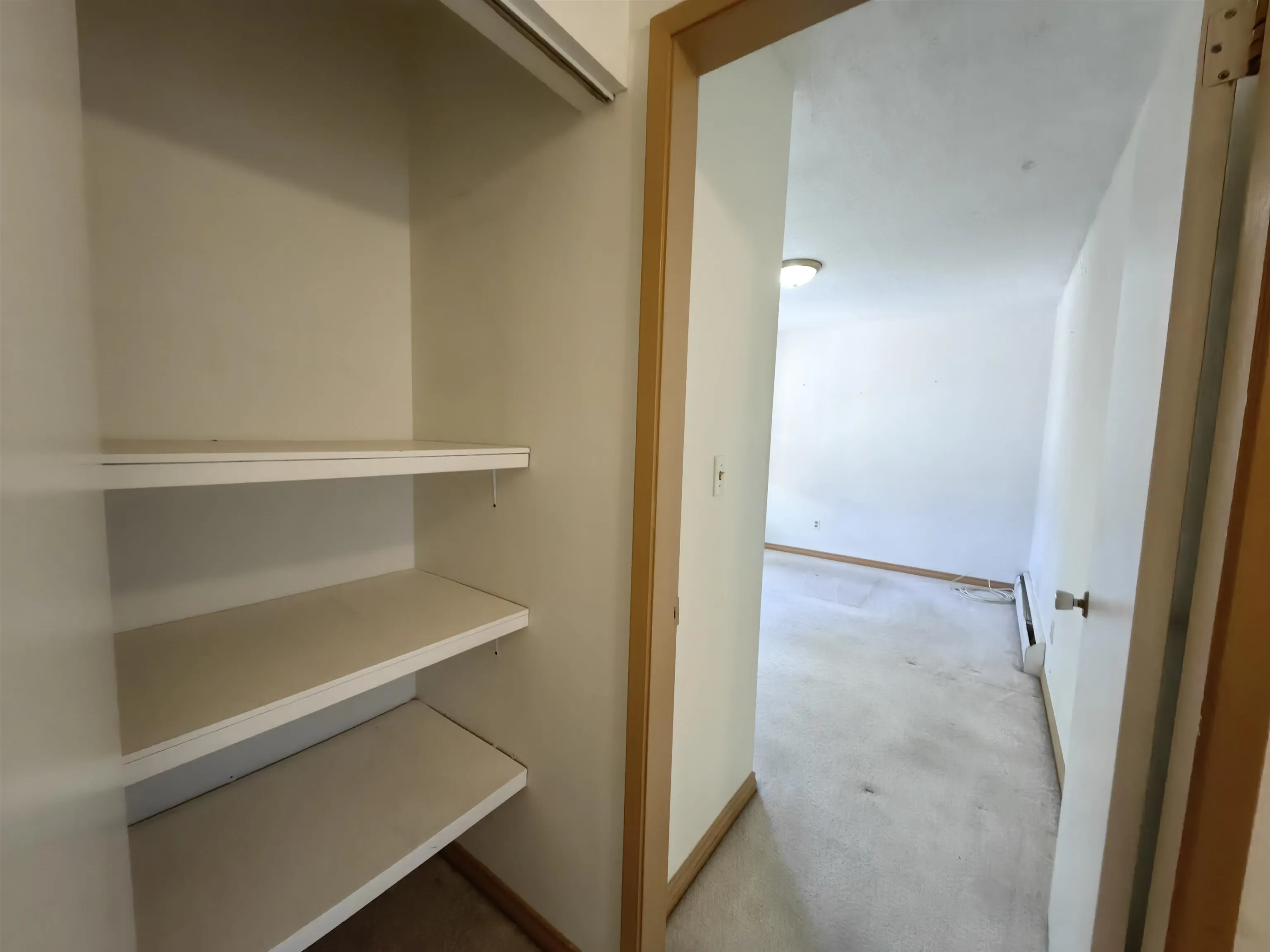 301 8080 Ryan Road