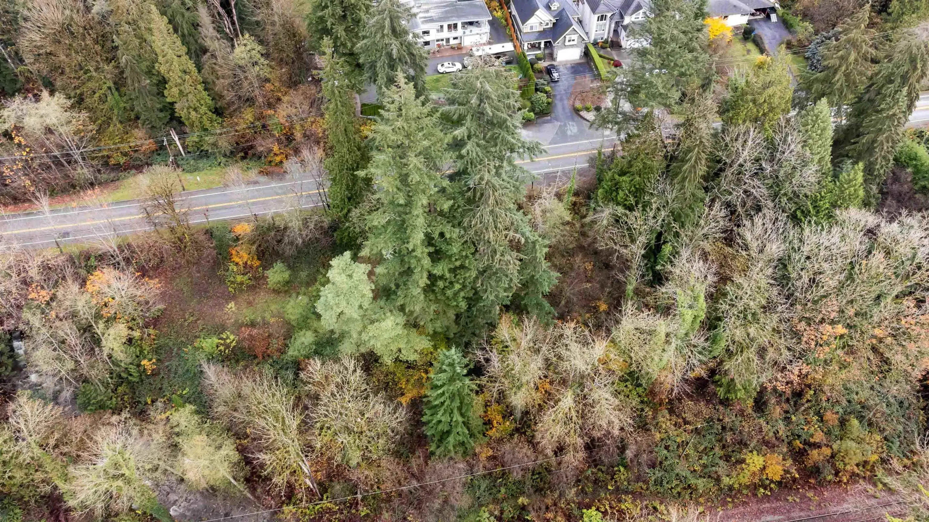 LOT 11 Ioco Road