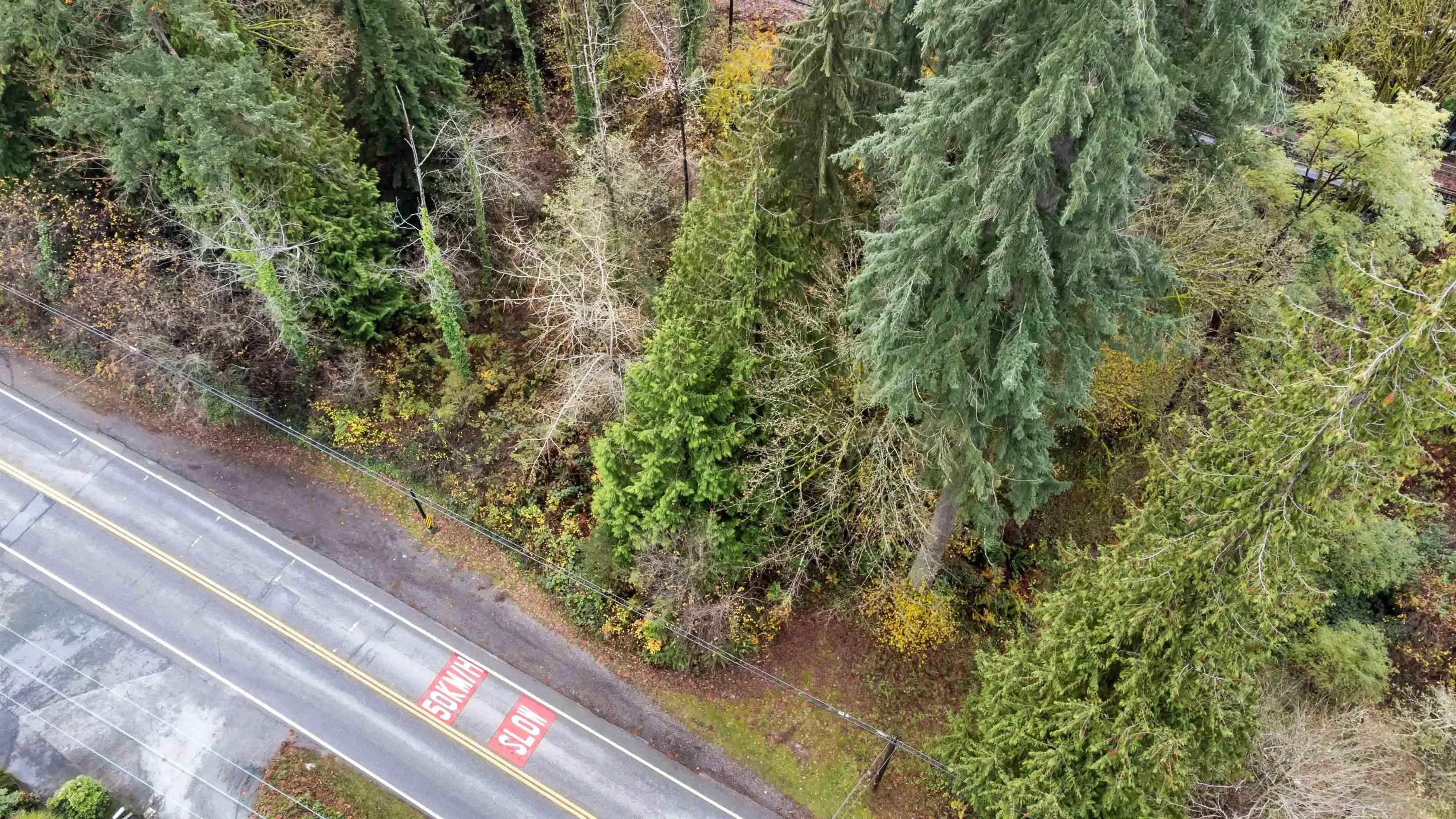 LOT 11 Ioco Road