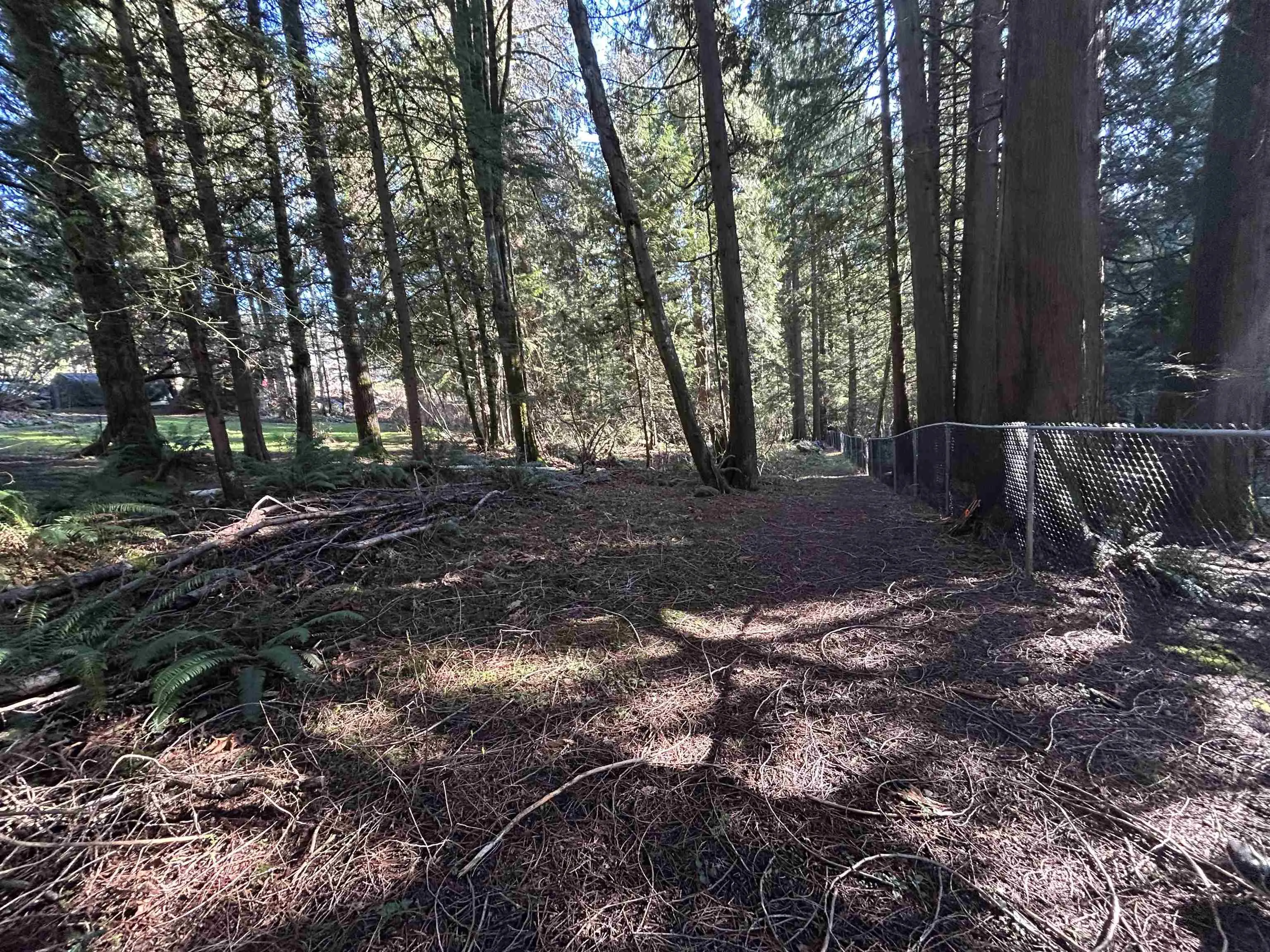 2000 Sunnyside Road