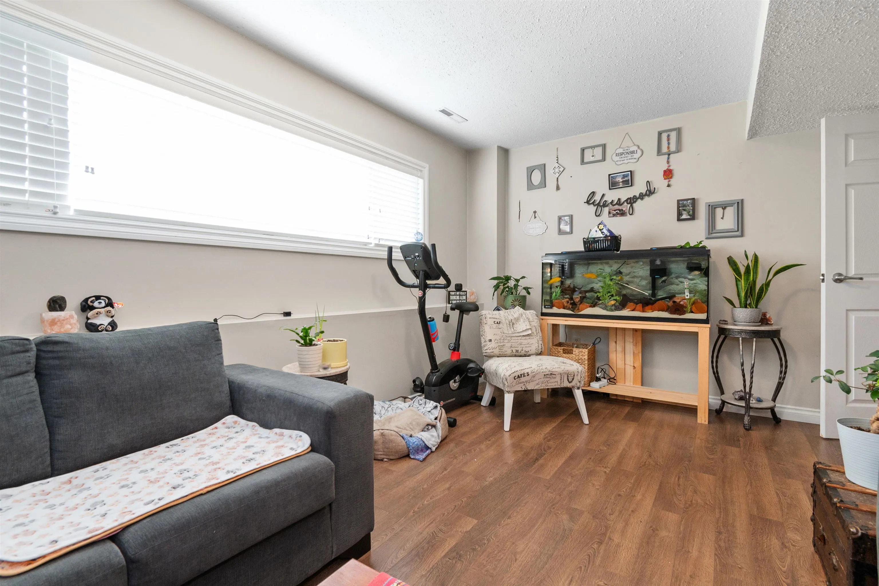 10155 Hymar Drive