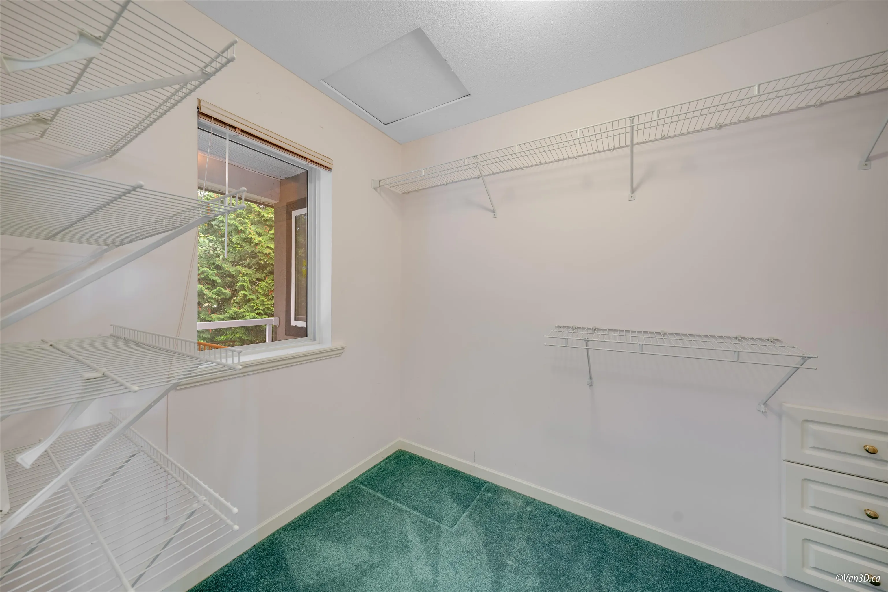 1631 Sundew Place