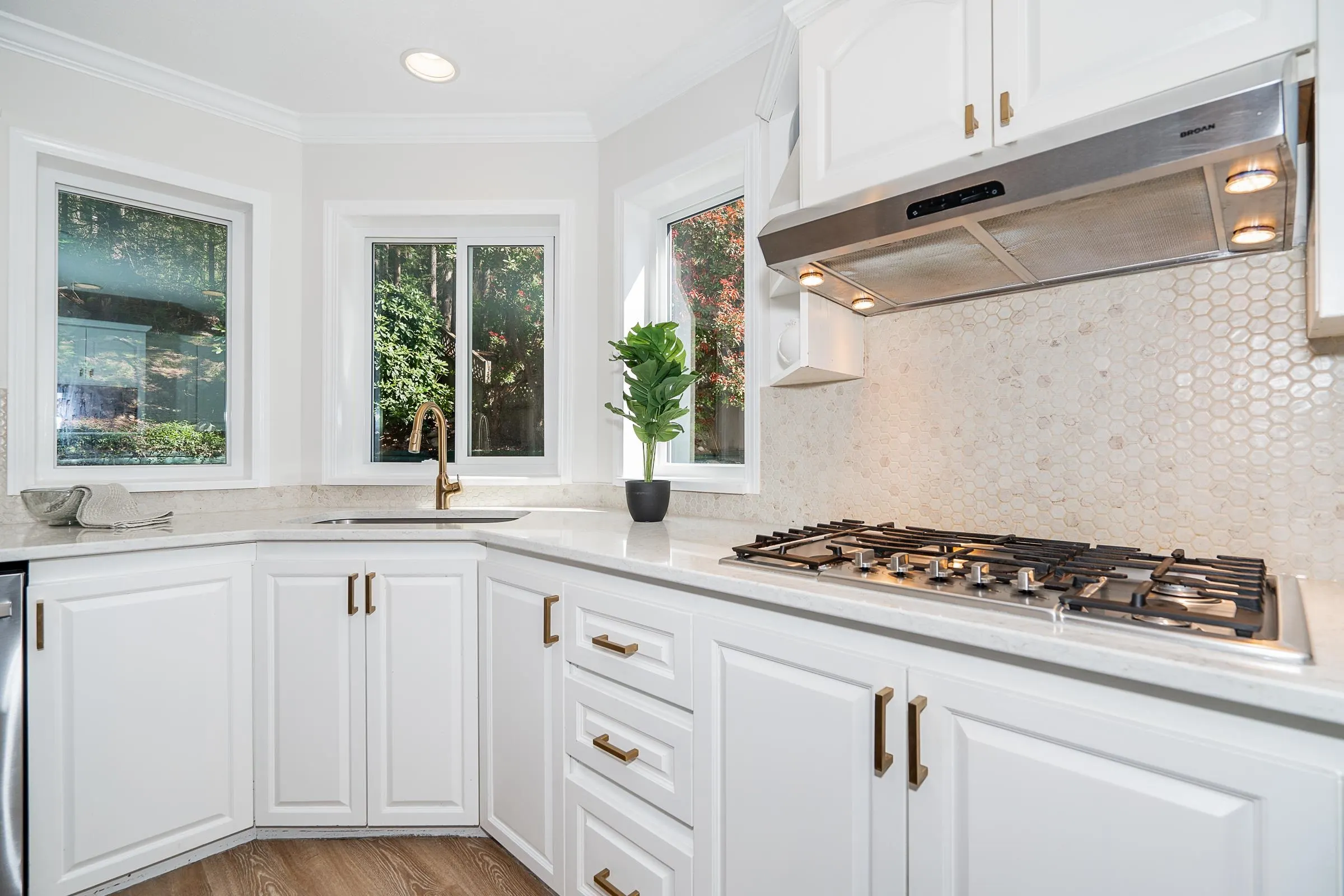 12 Flavelle Drive