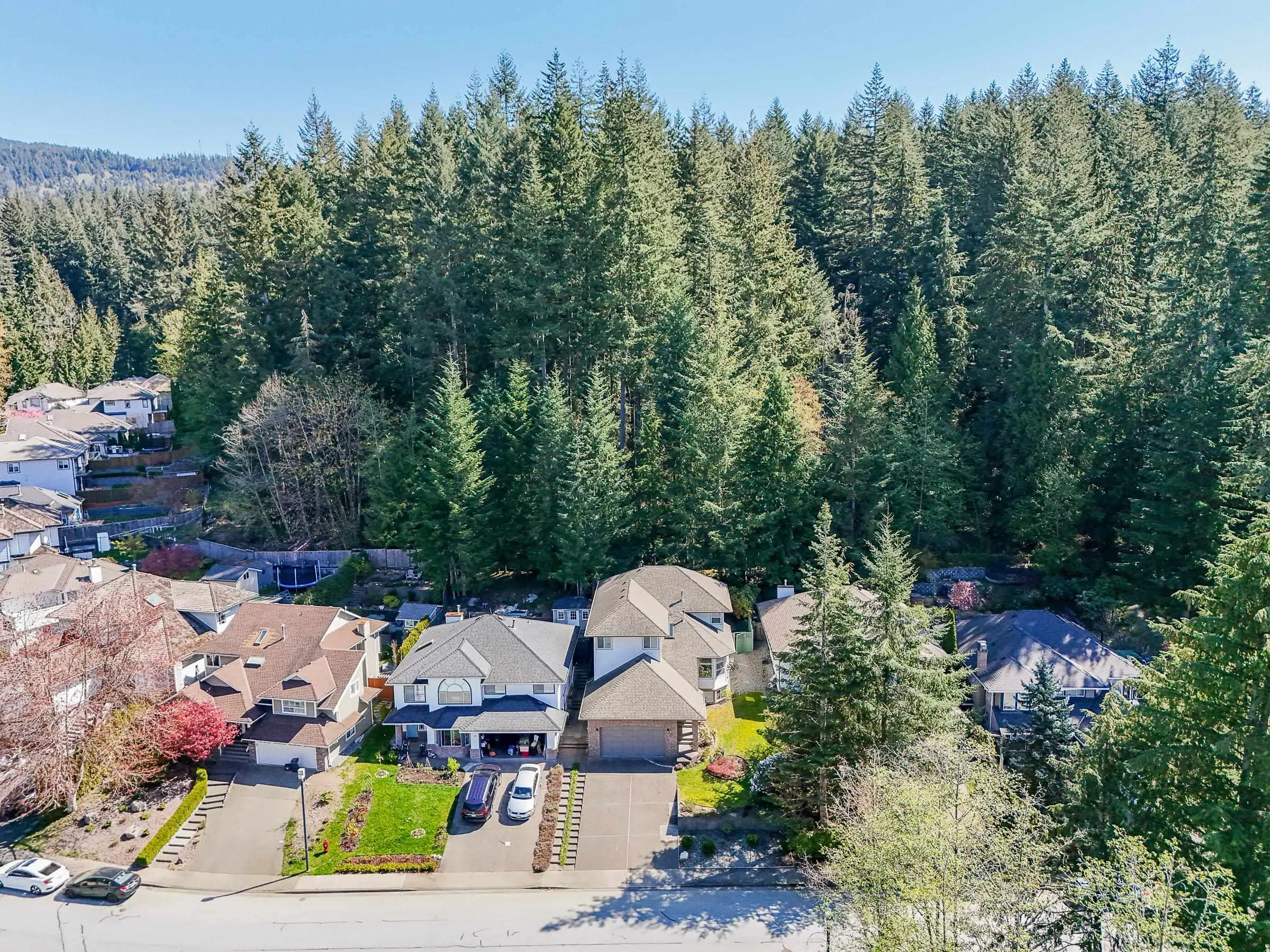 12 Flavelle Drive