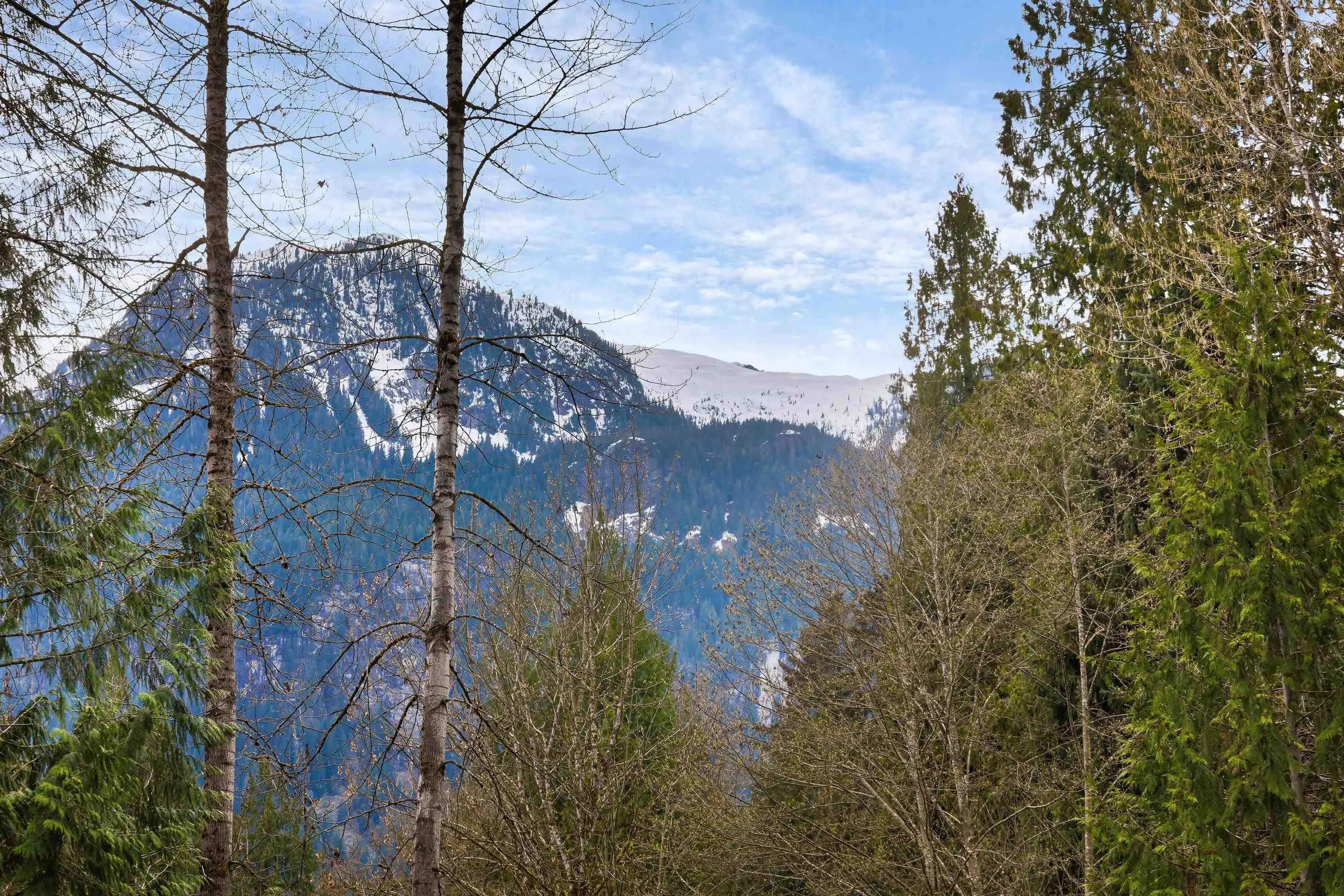 14886 Squamish Valley Road