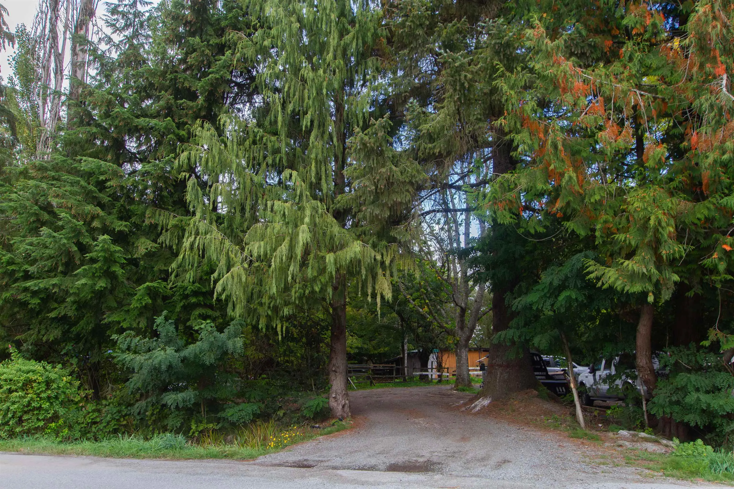 1020 Finch Drive