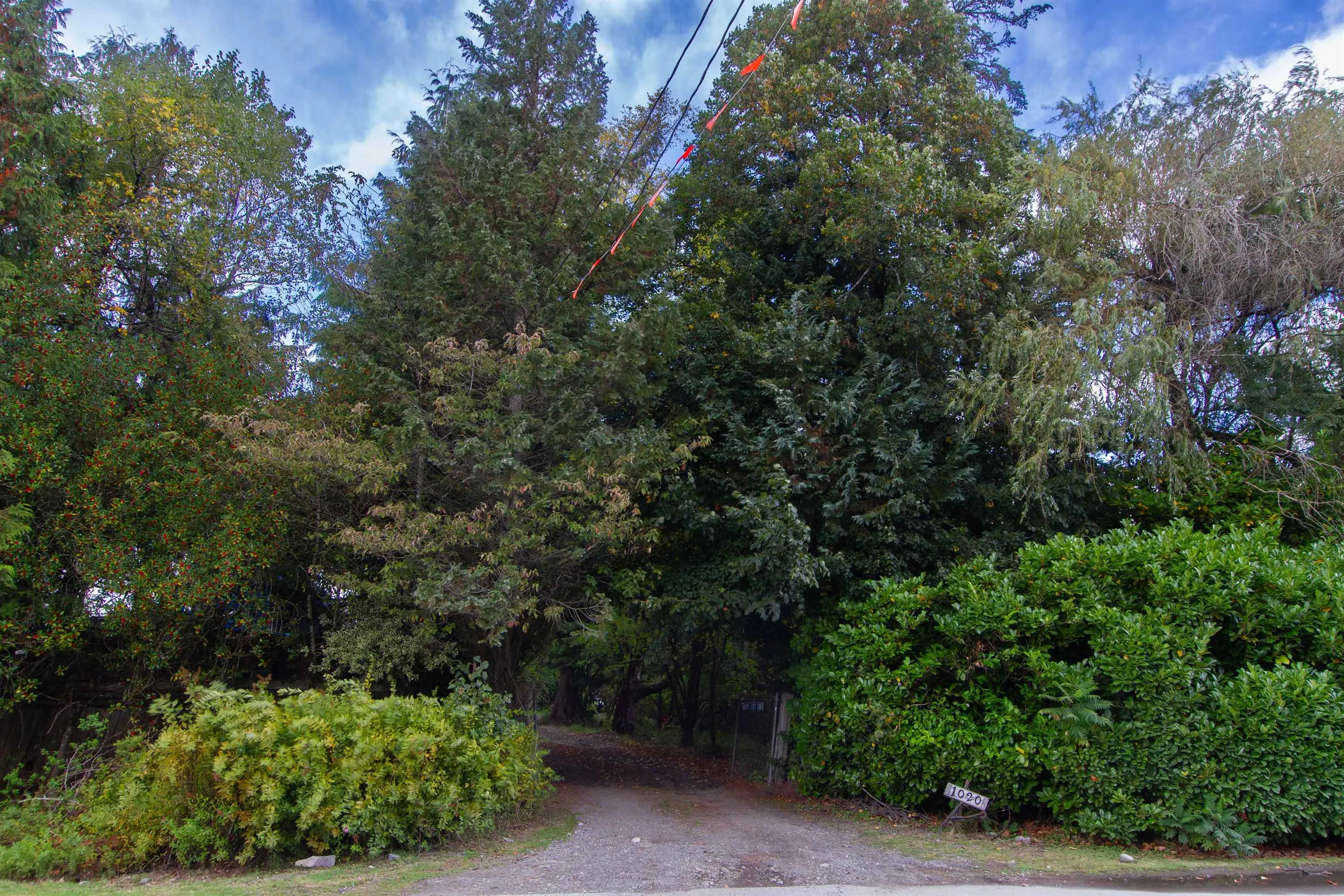 1020 Finch Drive