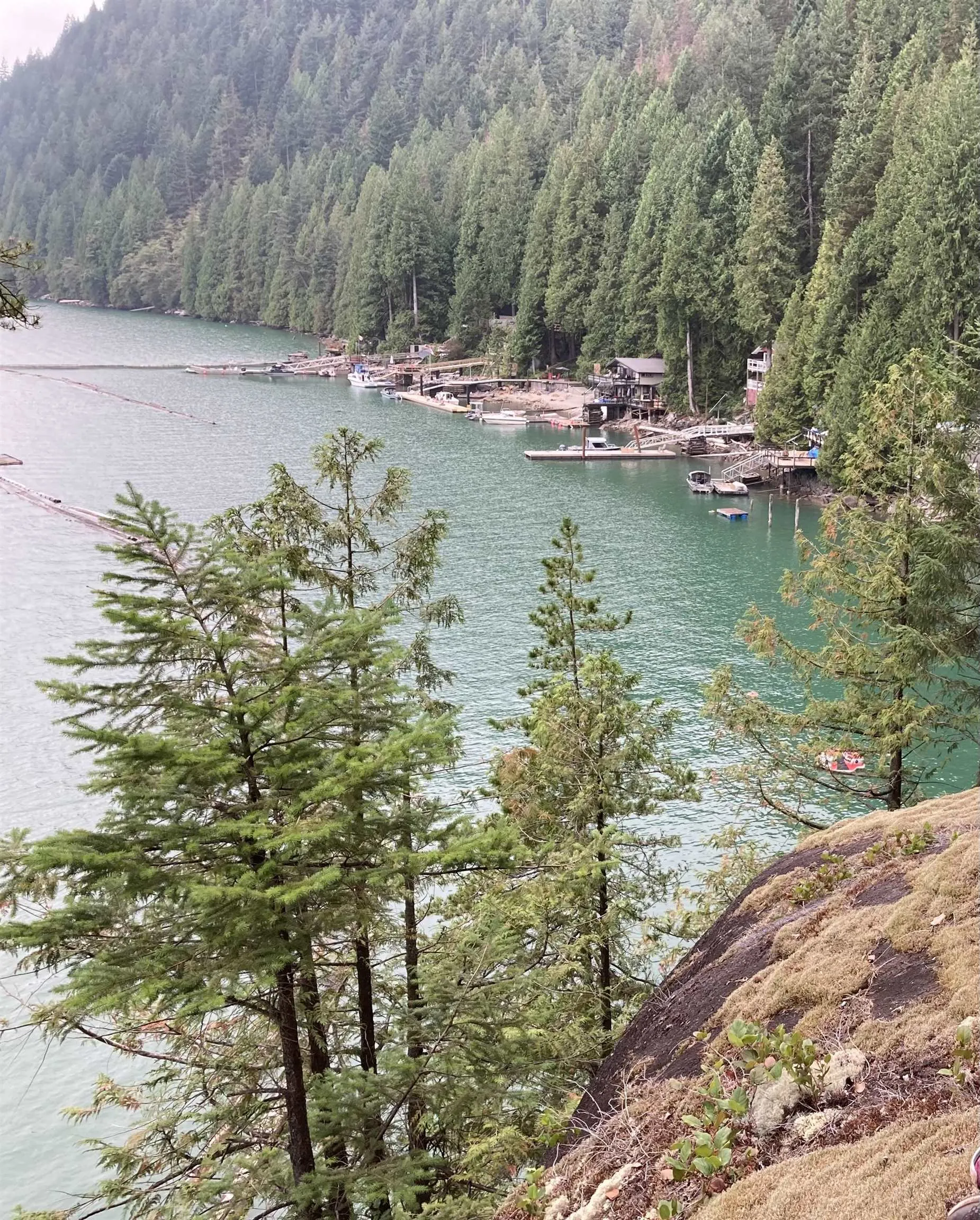 1 Seal Bay