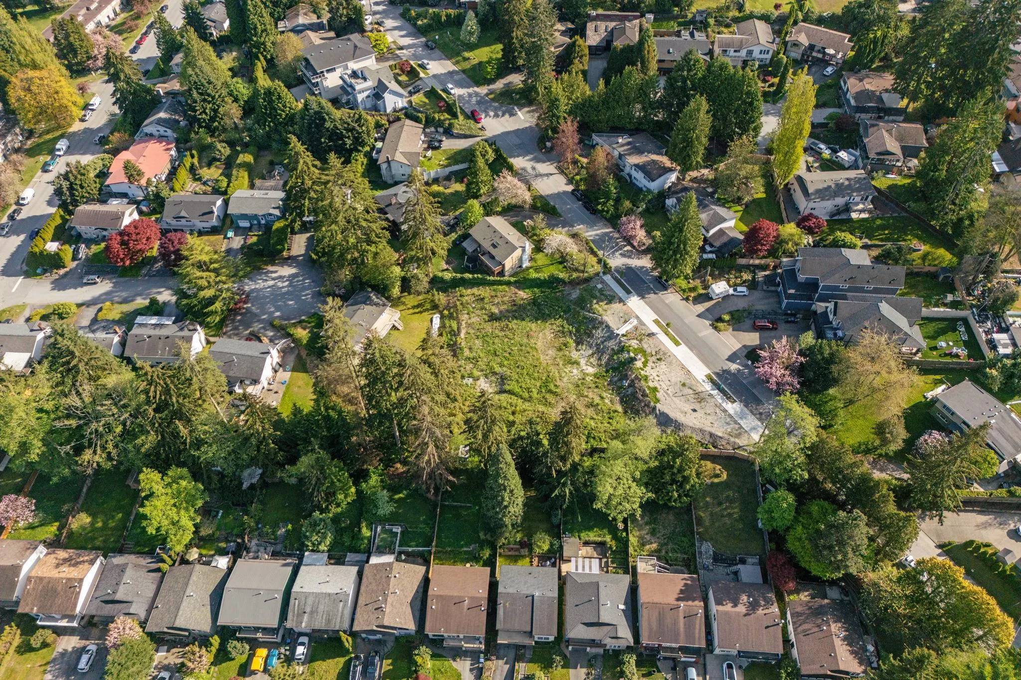 1160 Tuxedo Drive