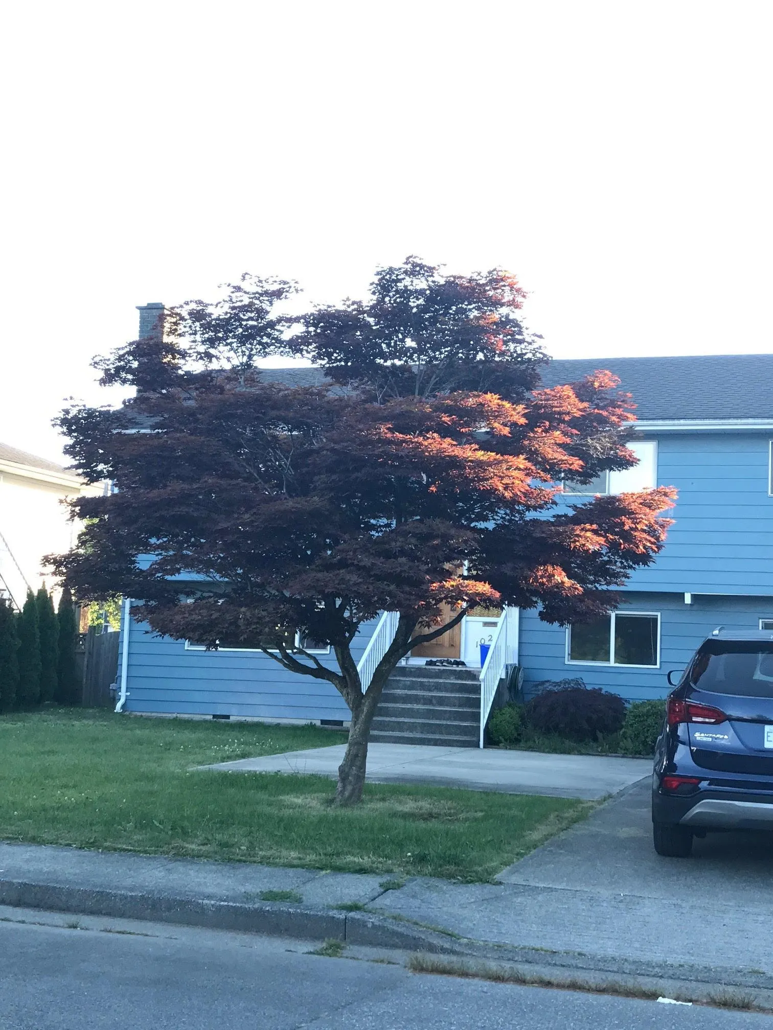 10271 Rosedene Crescent
