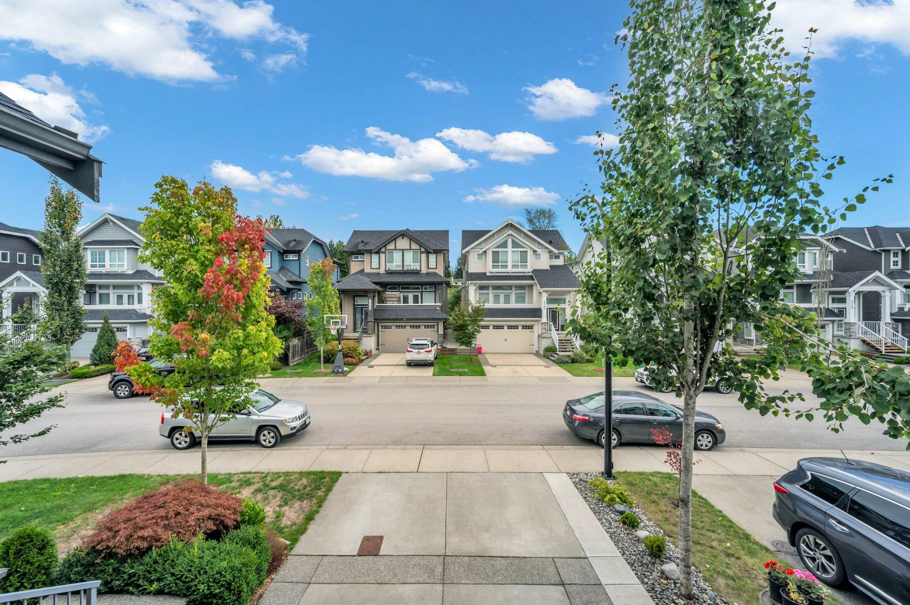10293 Wynnyk Way
