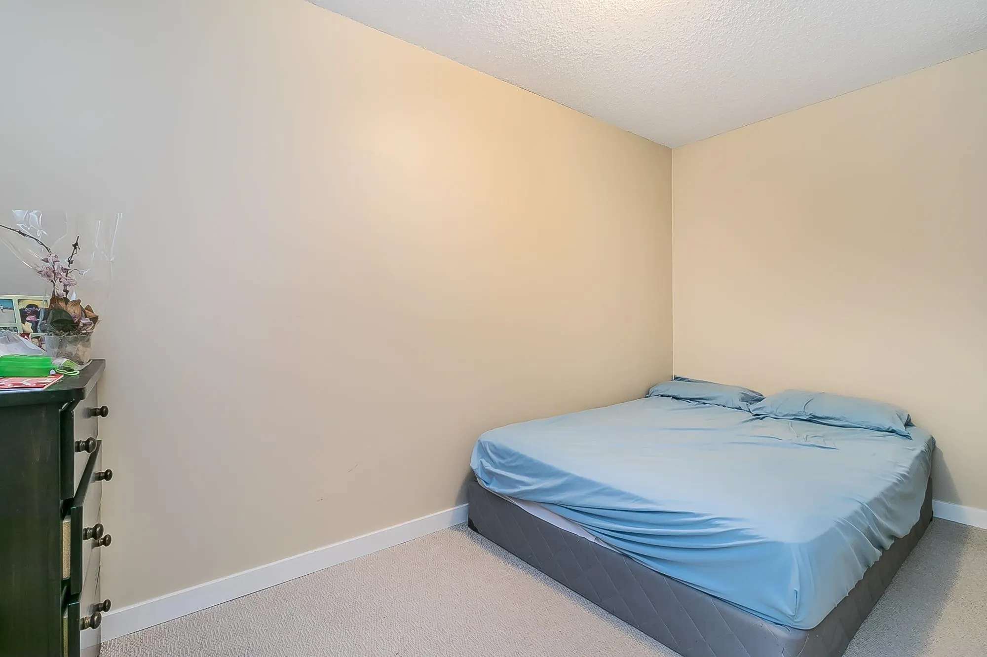 8204 Forest Grove Drive