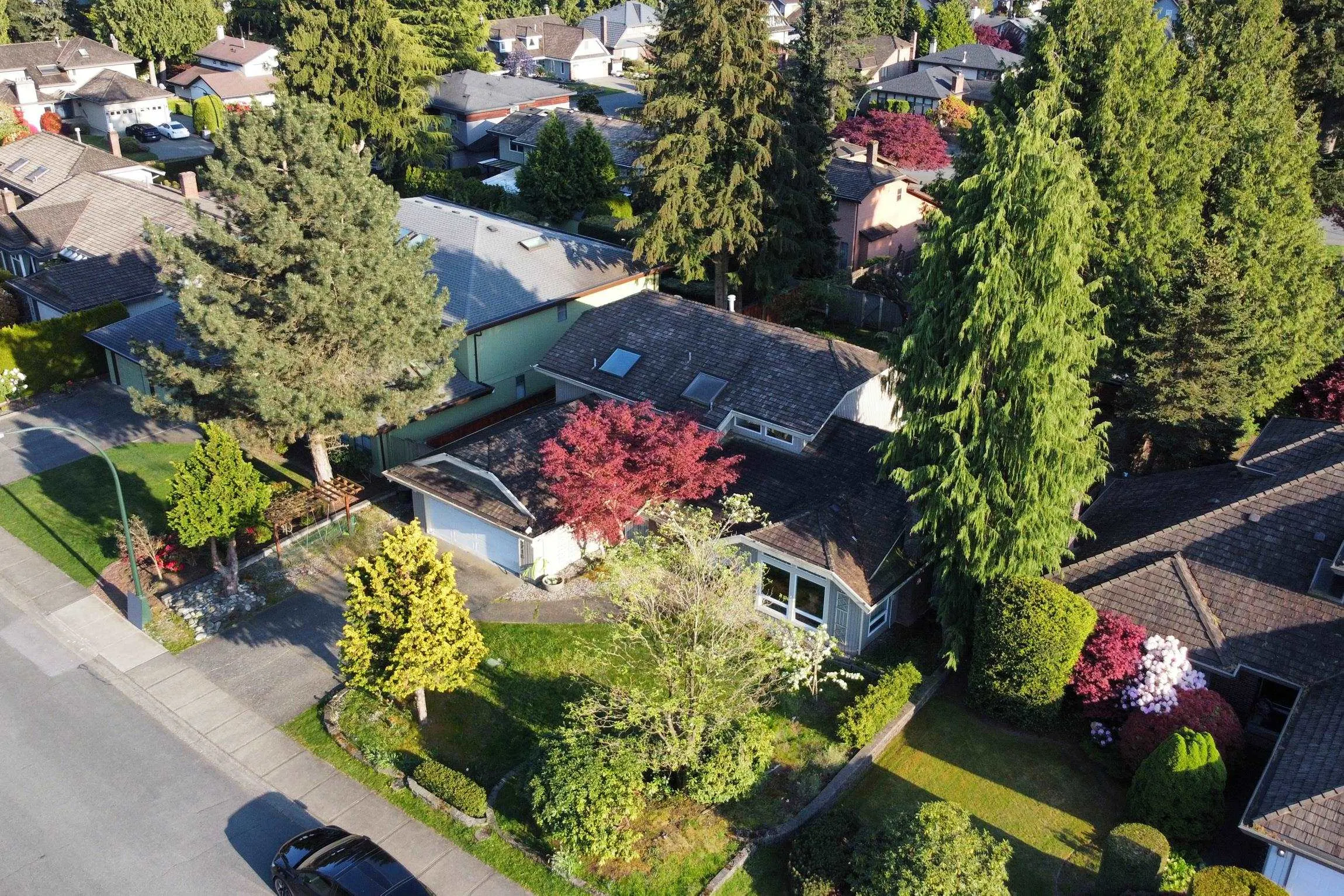 11716 Summit Crescent