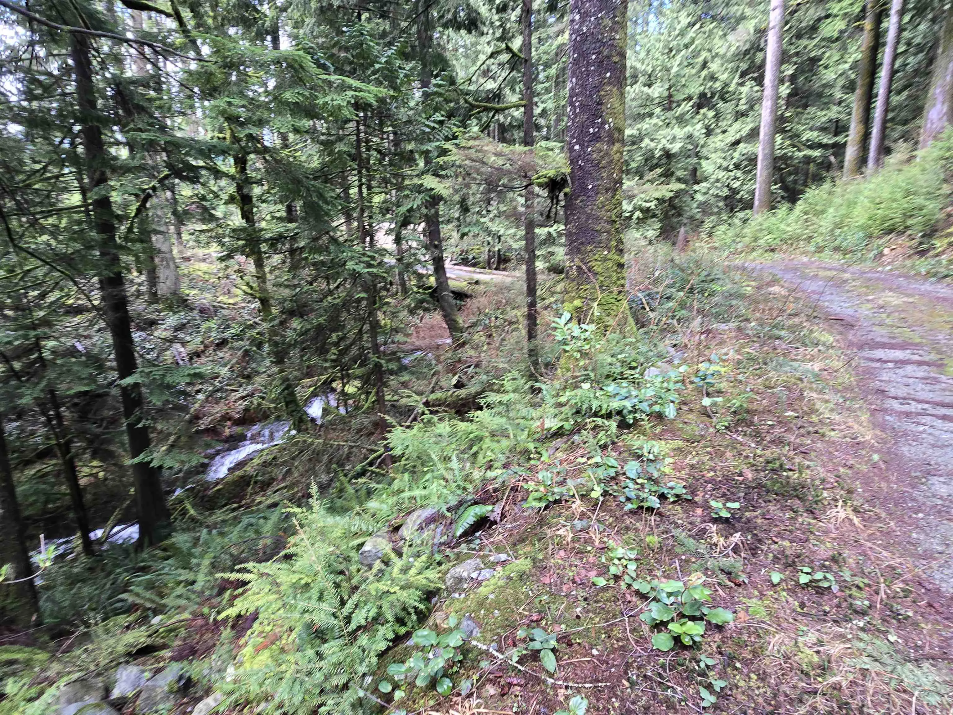 Lot 4 Williams Landing